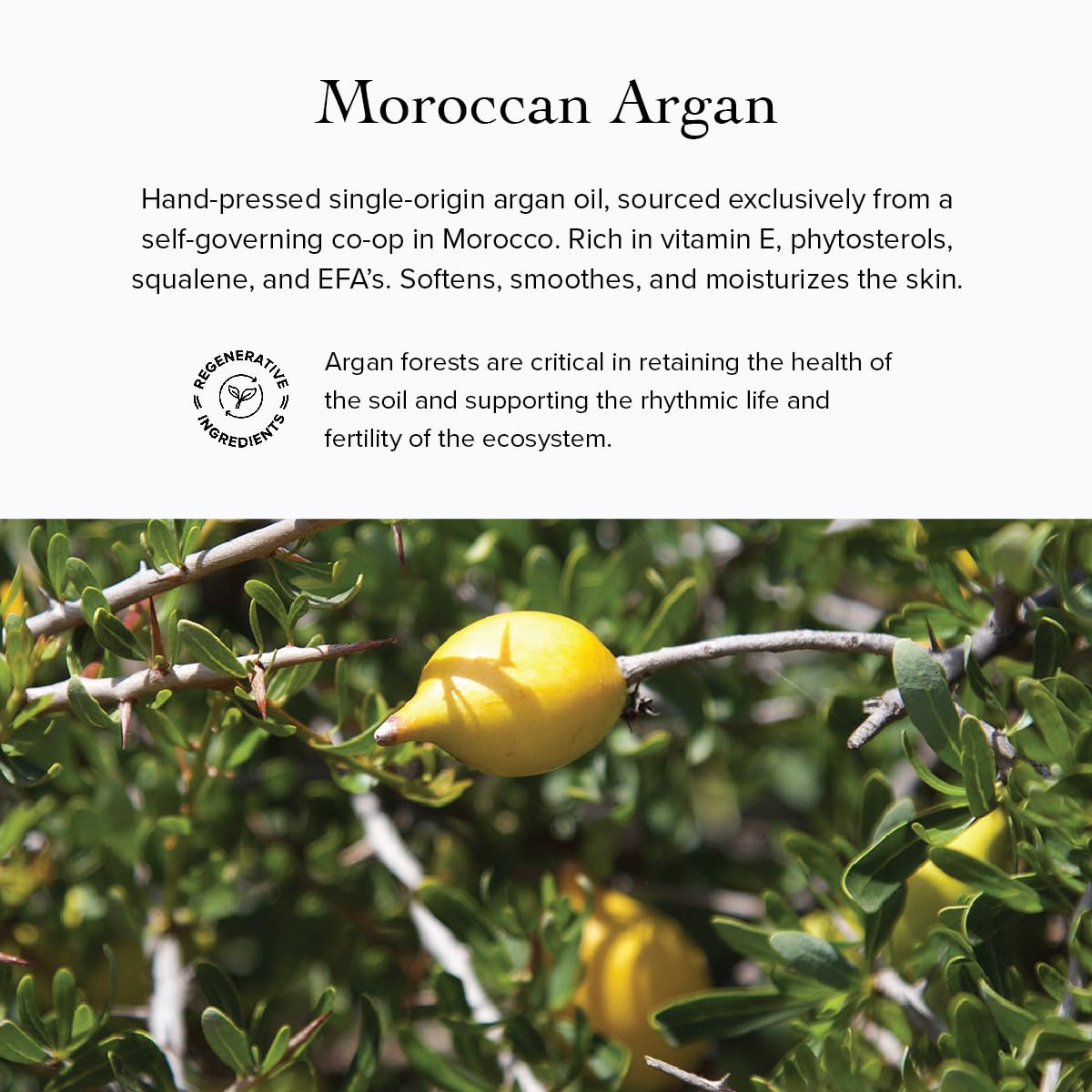 evanhealy Argan Intensive Serum | Handcrafted Argan Oil with Organic Essential Oils | Nurturing & Rejuvenating Treatment for All Skin Types