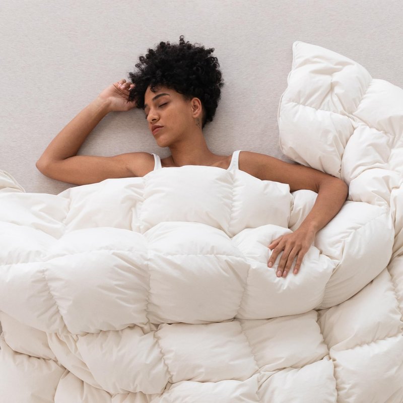 Three Geese Down Feathers Fiber Comforter Twin Size - 750 Fill Power All Season Down Duvet Insert, Ultra-Soft Hotel Collection Down Comforter, Baffle-Box Design - Noiseless -Medium Warmth.