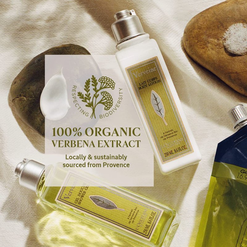 L'OCCITANE Verbena Body Lotion Marketplace 8.40 fl oz