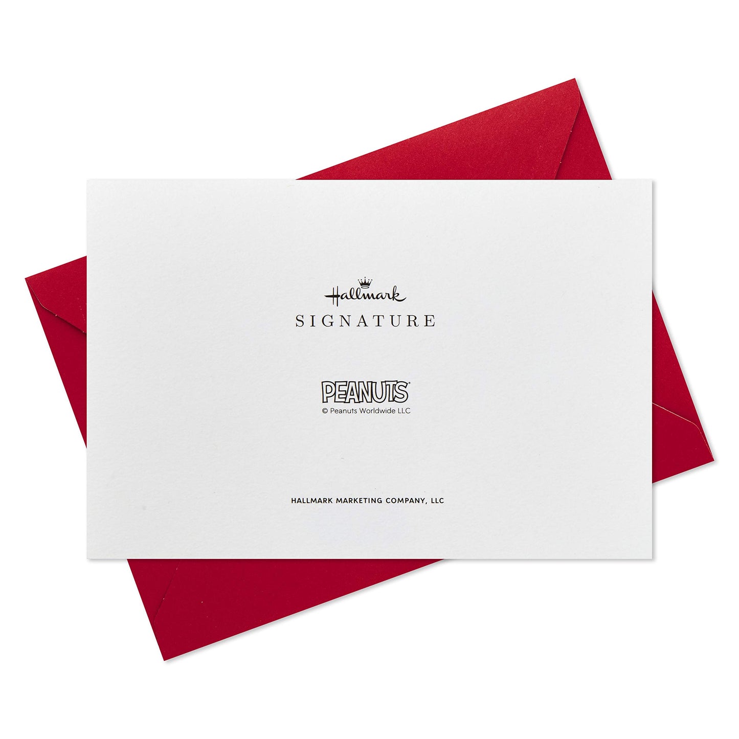 Hallmark Signature Peanuts Fathers Day Card (Snoopy and Woodstock Canoeing) (799FFW2007)