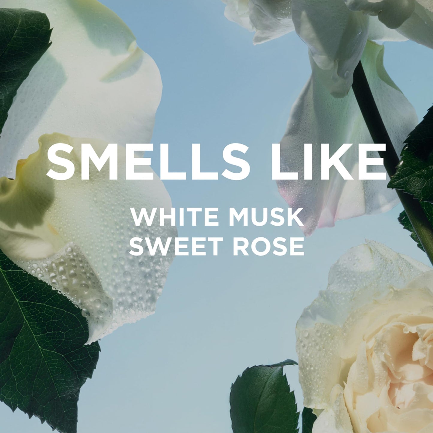 By Rosie Jane Body Wash (Rosie) - Hydrating Body Wash Made with White Musk & Sweet Rose - Supports Skin Elasticity & Builds Collagen - Vegan & Non-Toxic (8 Fl Oz)