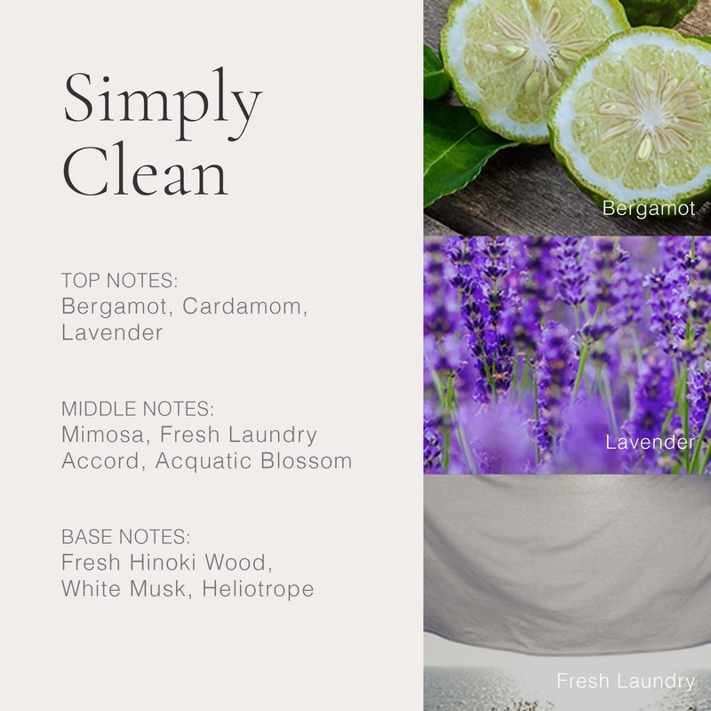 CLEAN CLASSIC Simply Clean 60mL