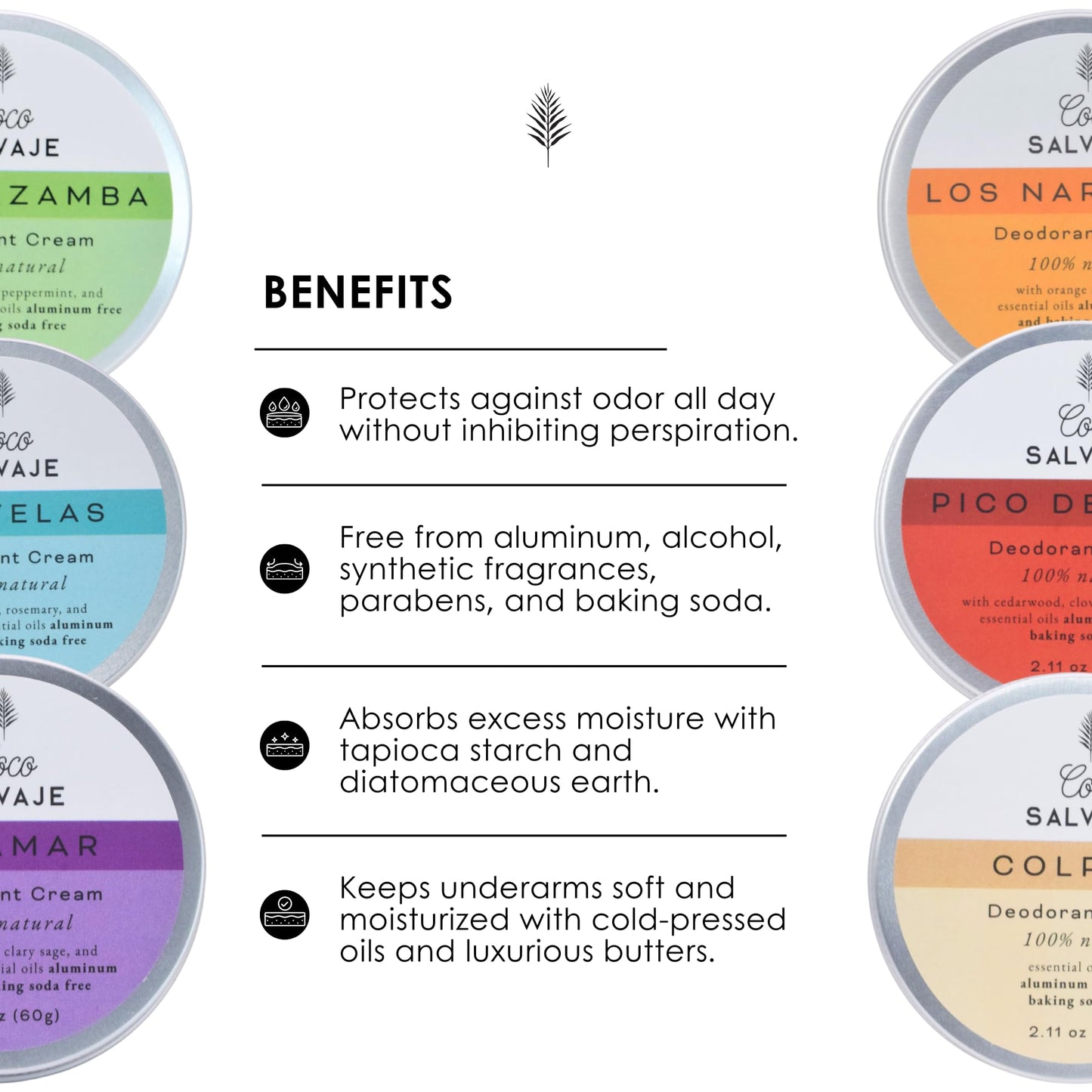 COCO SALVAJE Natural Deodorant for Women & Men | Aluminum Free Deodorant with Magnesium | Non toxic, Vegan, Hypoallergenic and Pregnancy Safe | Organic Ingredients | 2.11oz (GALERAZAMBA (Lemongrass))