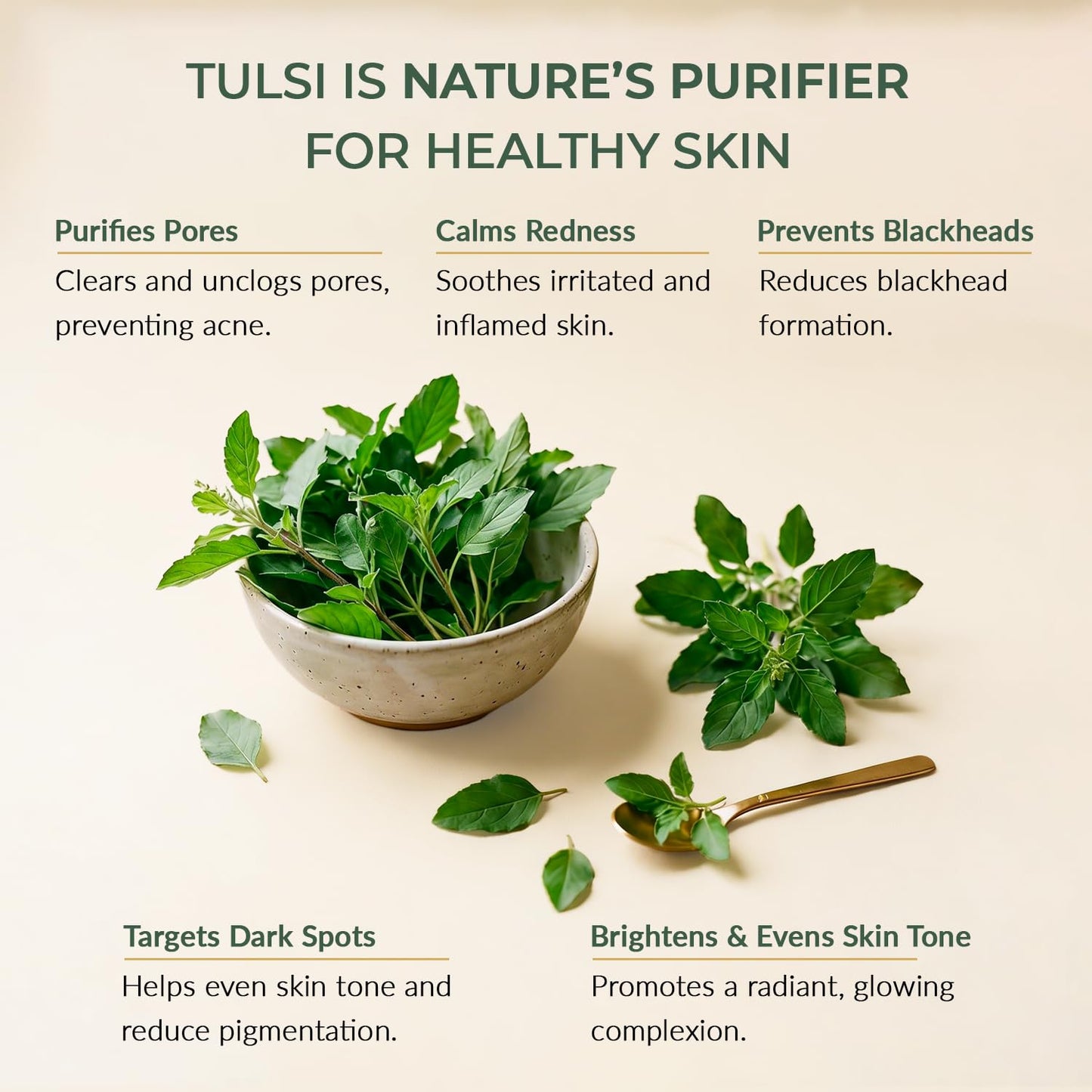 SPAVED Tulsi Face Cream 1.7 oz – Anti-Aging, Barrier Support & Hydrating Moisturizer with Shea Butter, Aloe Vera & Vitamin E – Supports Soft, Radiant Skin – Vegan, Fragrance-Free