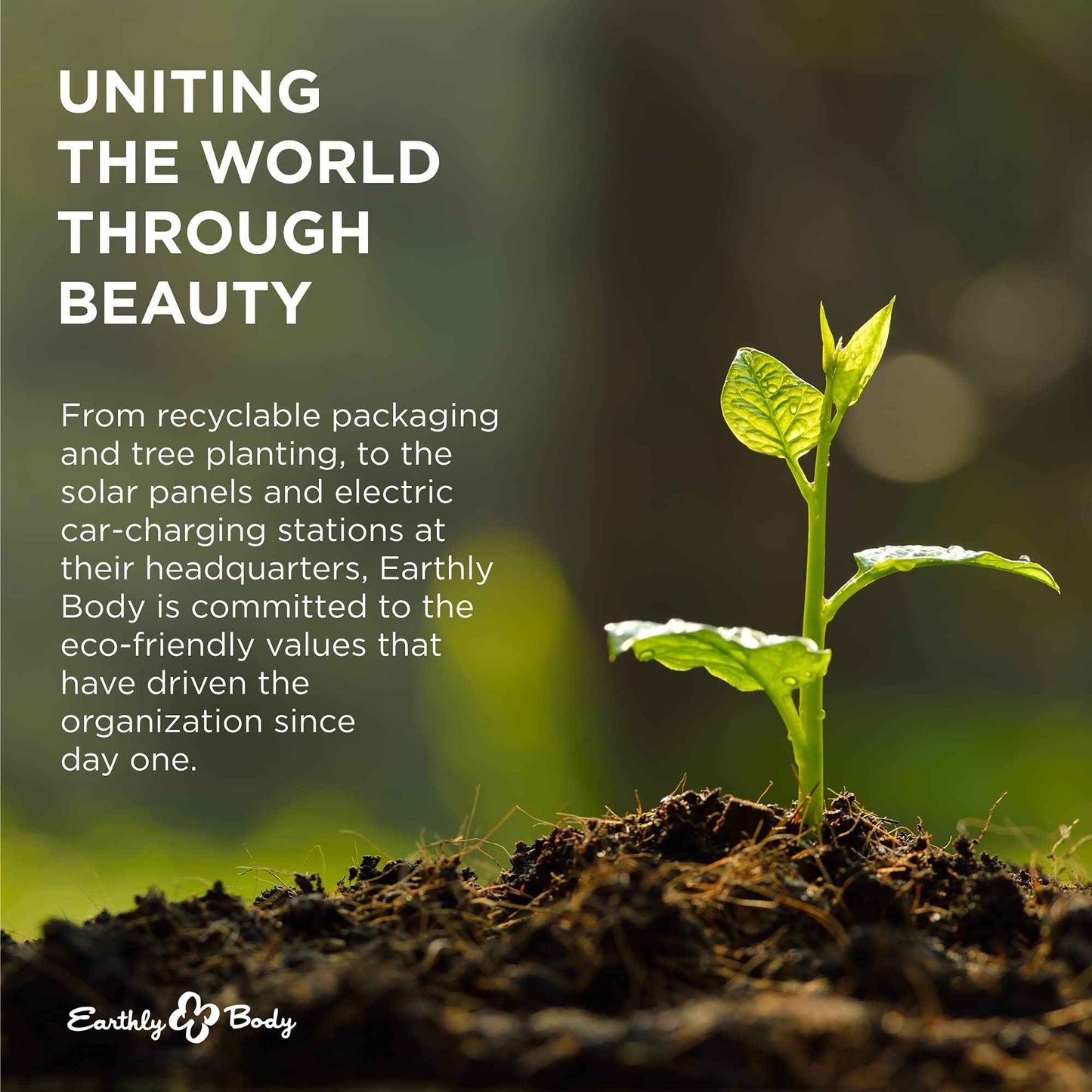 Hemp Seed Skin Butter, Sunsational - 8 oz. - Total Body Moisturizer - Hemp Seed Oil, Jojoba Oil, Shea Butter - Vegan & Cruelty Free