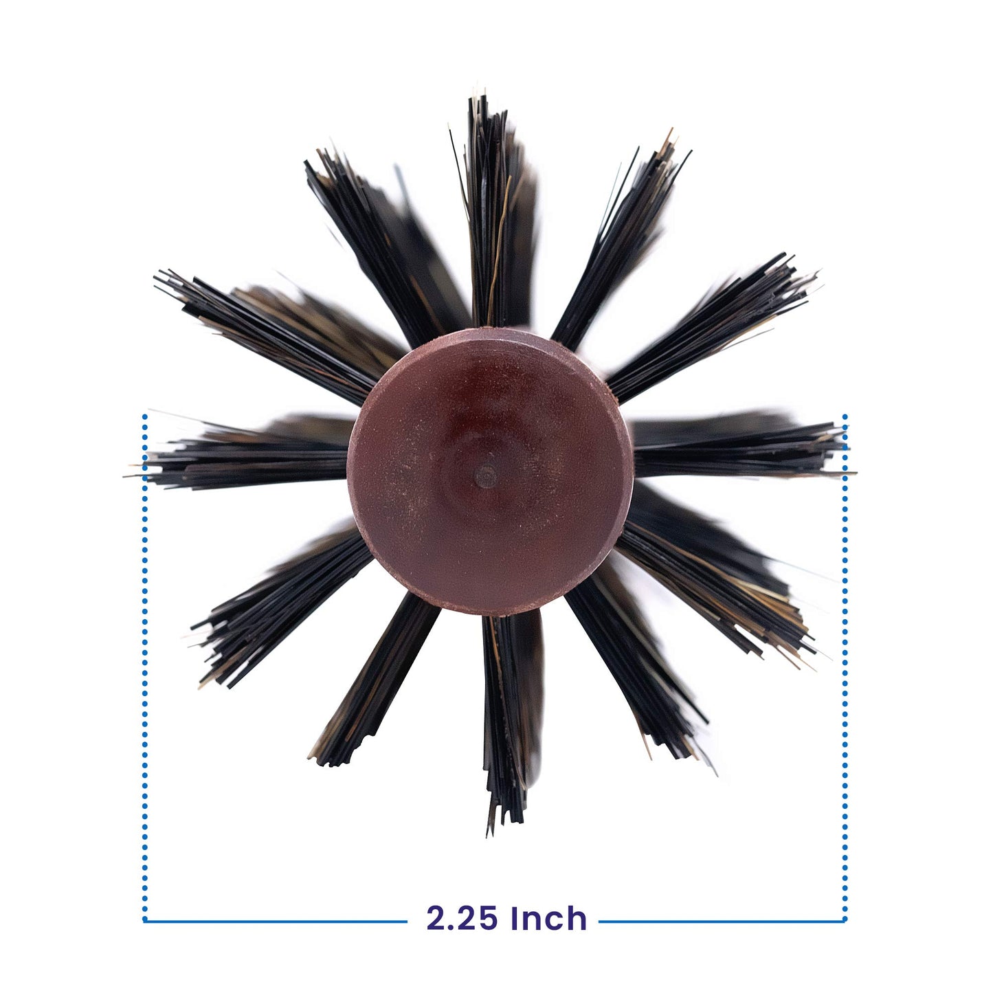 Spornette Italian Round Boar Bristle Brush - Large Round Brush for Blow Drying, Styling & Volumizing - Wooden Brush for Medium to Long Thick, Fine, Curly or Straight Hair (2.25 inch)