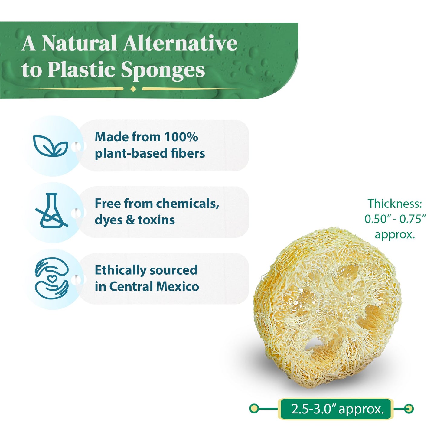 Natural Loofah Slices for Soap Making (20 Pack) - Organic Loufa Cuts - Bulk Luffa - Soap Making Supplies