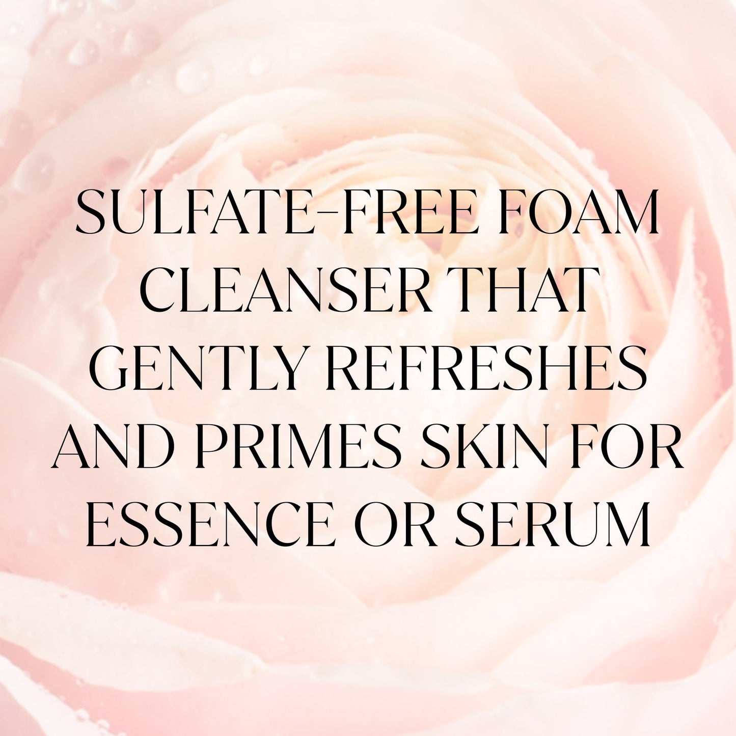 FEMMUE Gentle Creamy Foam Face Cleanser (3.38 oz) | Hydrating Face Wash with Centella for Sensitive Skin | Gentle Makeup Remover | Korean Beauty Skincare