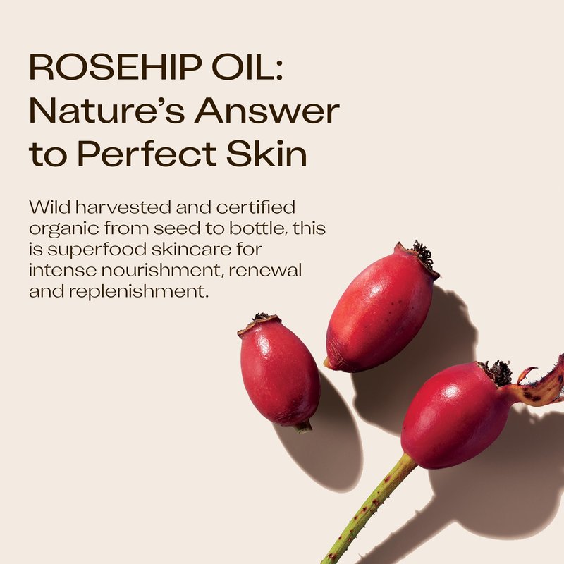Trilogy Certified Organic Rosehip Oil, Intensive Nourishment, Improves Appearance of Scars, Stretch Marks, Fine Lines, & Wrinkles, 0.68 fl oz