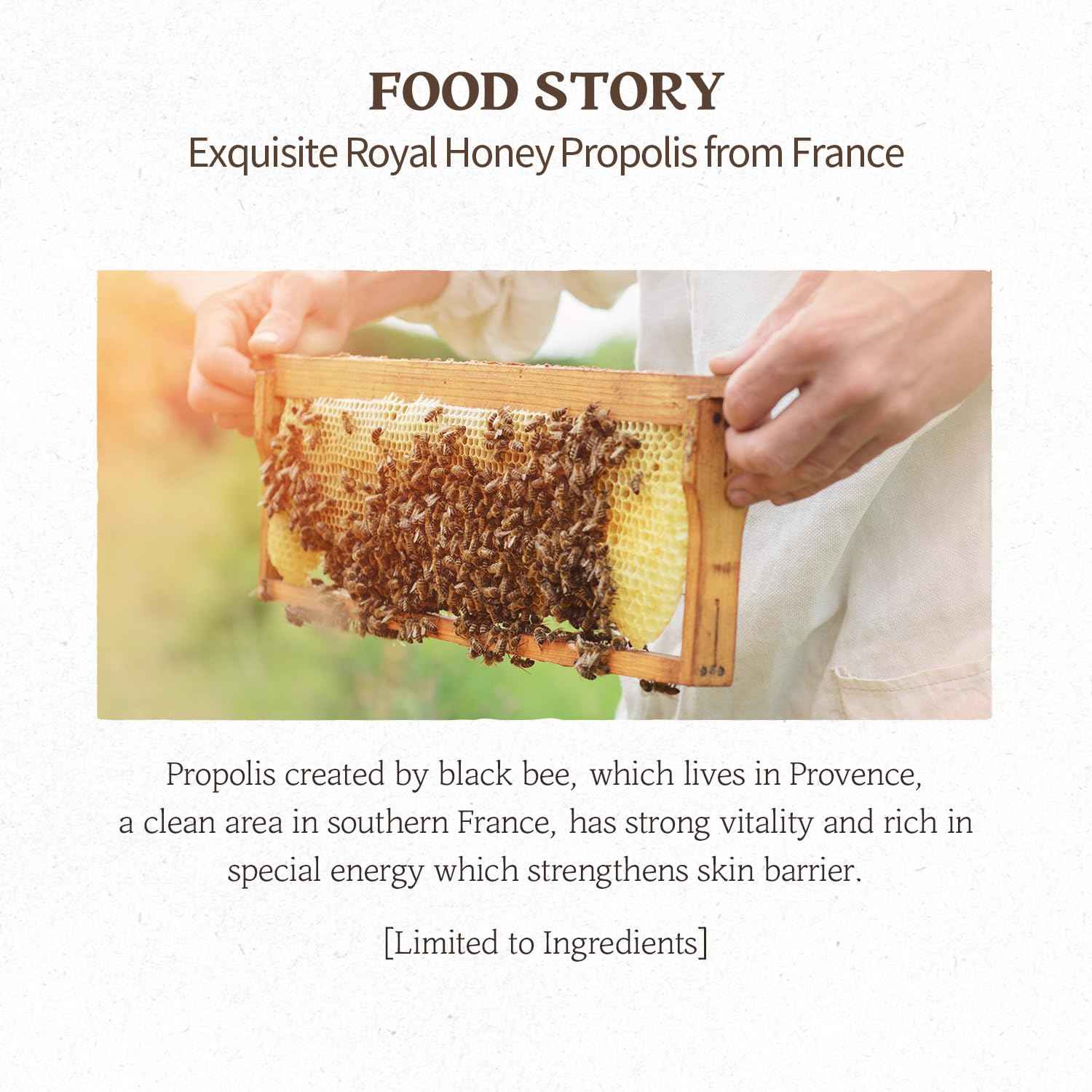 SKINFOOD Royal Honey Mask10ea Set - Bee Propolis Extract, Royal Honey Extract, Intensely nourishes and hydrates tired and dull skin 9.1fl.oz, 270ml