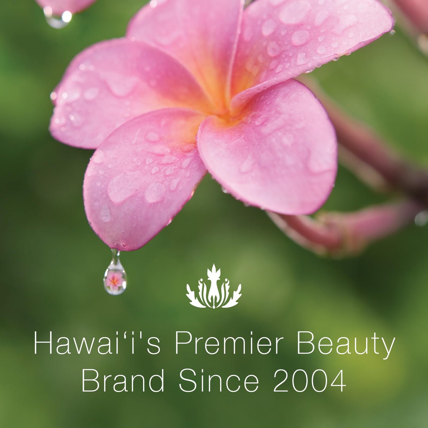 Mālie Organics Shampoo, Mango Nectar Scent, Daily Cleanse for All Hair Types, Kukui Nut Oil + Macadamia Nut Oil + Quinoa Protein, Vegan
