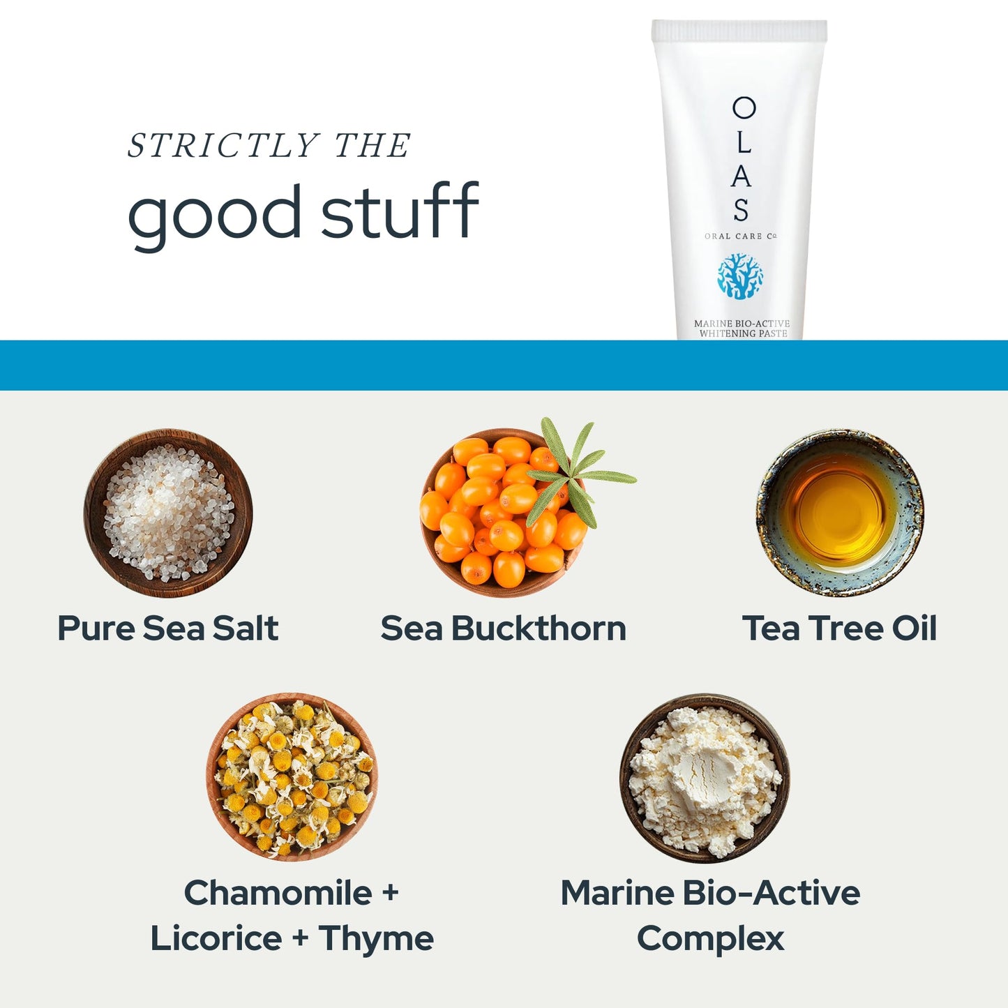 OLAS Marine Sea Mint Bio-Active Toothpaste - Fluoride Free Toothpaste - Promote a Healthy Oral Microbiome & Natural Fresh Breath - SLS Free & Dentist Formulated (3.5oz)