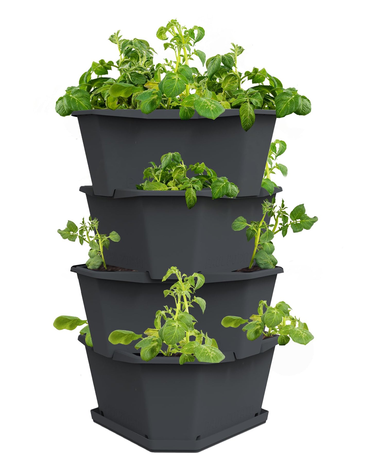 BUZZY Seeds Starter Stackable Vertical Planter – 4-Level Raised Garden Tower for Potatoes, Strawberries, Vegetables & Flowers (Gray)