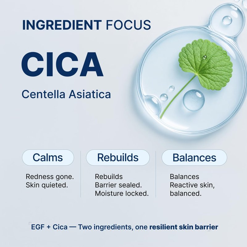 PIENARIN Korean EGF Derma Cica Repair Cream – Anti-Aging Facial Moisturizer for Damaged Barrier, Sensitive & Redness-Prone Skin | Daily Hydrating Face Lotion for Dry, Irritated Skin (1.69 fl. oz.)