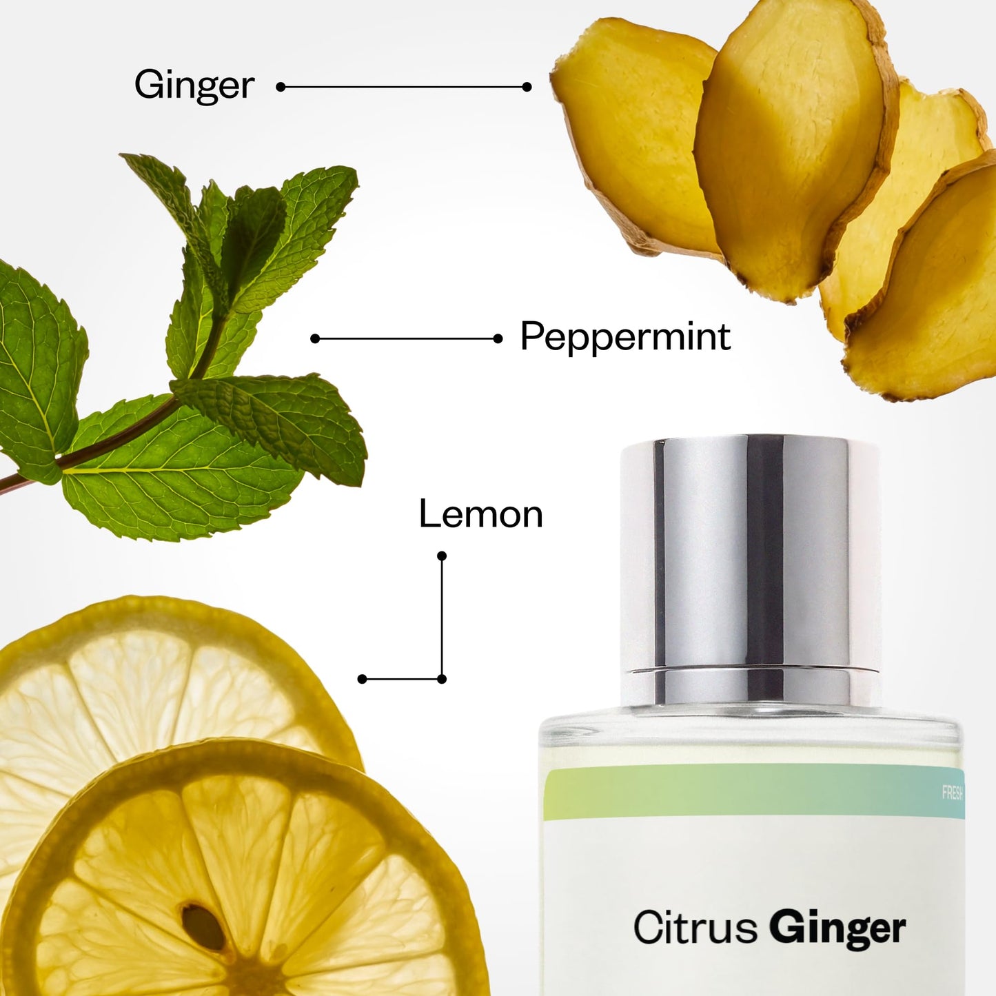 Dossier - Citrus Ginger - Eau de Parfum - Inspired by Bleu de Chanel - Long-Lasting Fragrance - Masculine - 1.7 fl oz (50ml)