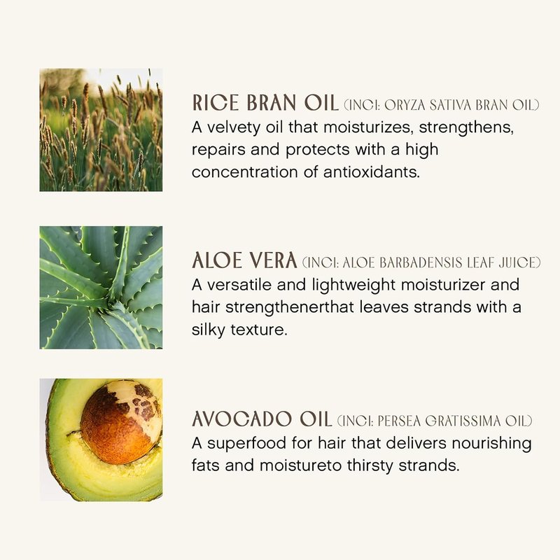 Organic Beauty Daily Conditioner - Non-Toxic, Cruelty-Free Haircare | 10oz