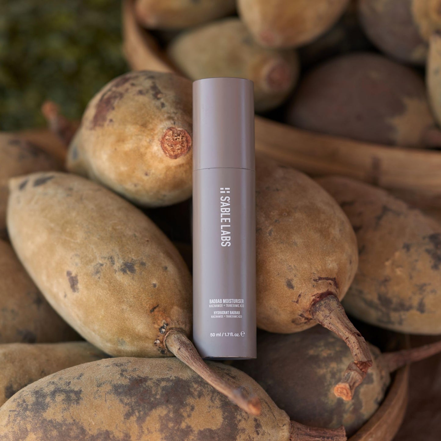 S'ABLE LABS - Baobab Moisturizer | Replenish, Rejuvenate, Restore | Niacinamide + Tranexamic Acid | Melanin-Inclusive Skincare (50 mL | 1.7 fl oz)