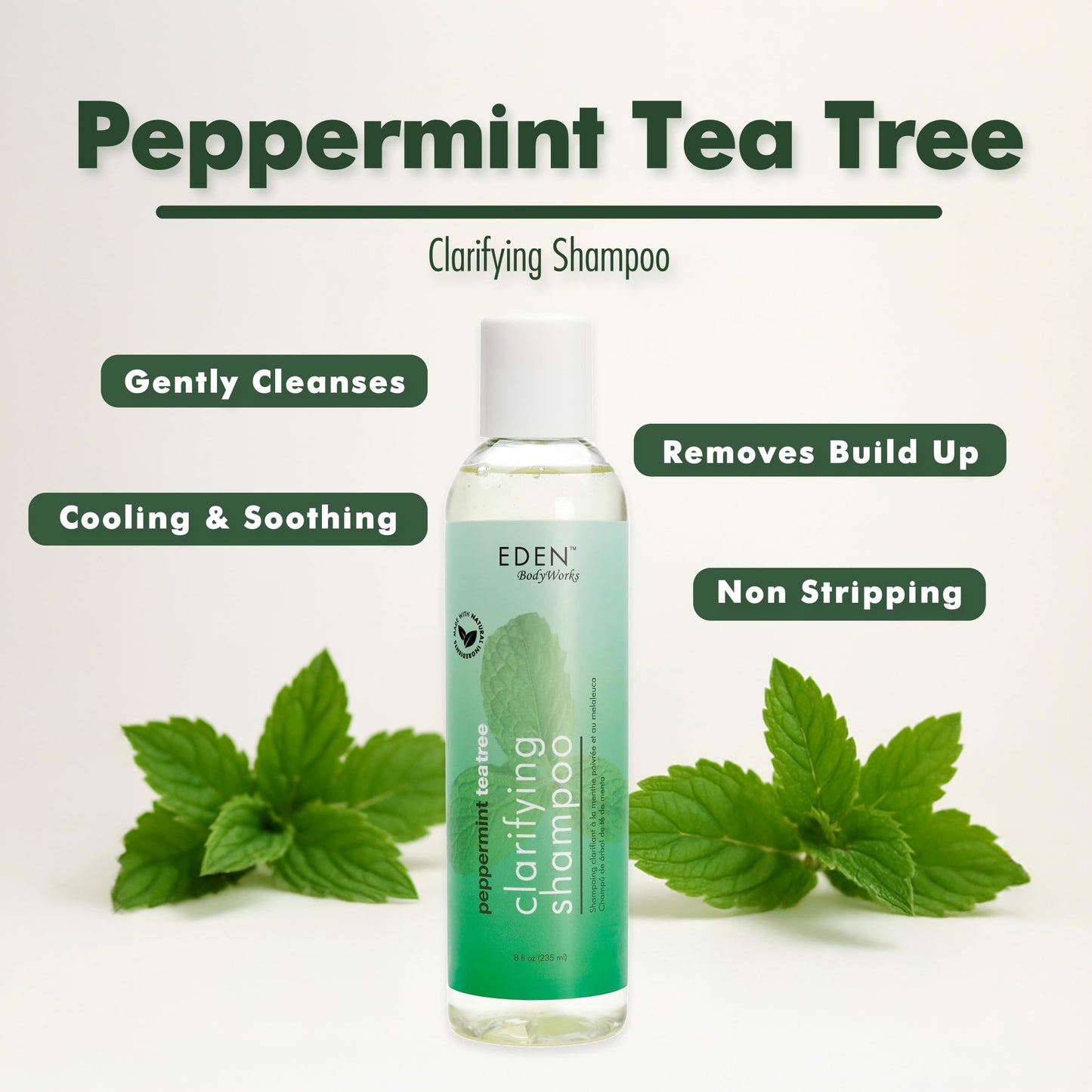 EDEN BodyWorks Peppermint Tea Tree Shampoo | Clarifying Shampoo for Curly Hair | Perfect for Build Up Cleansing | 8oz