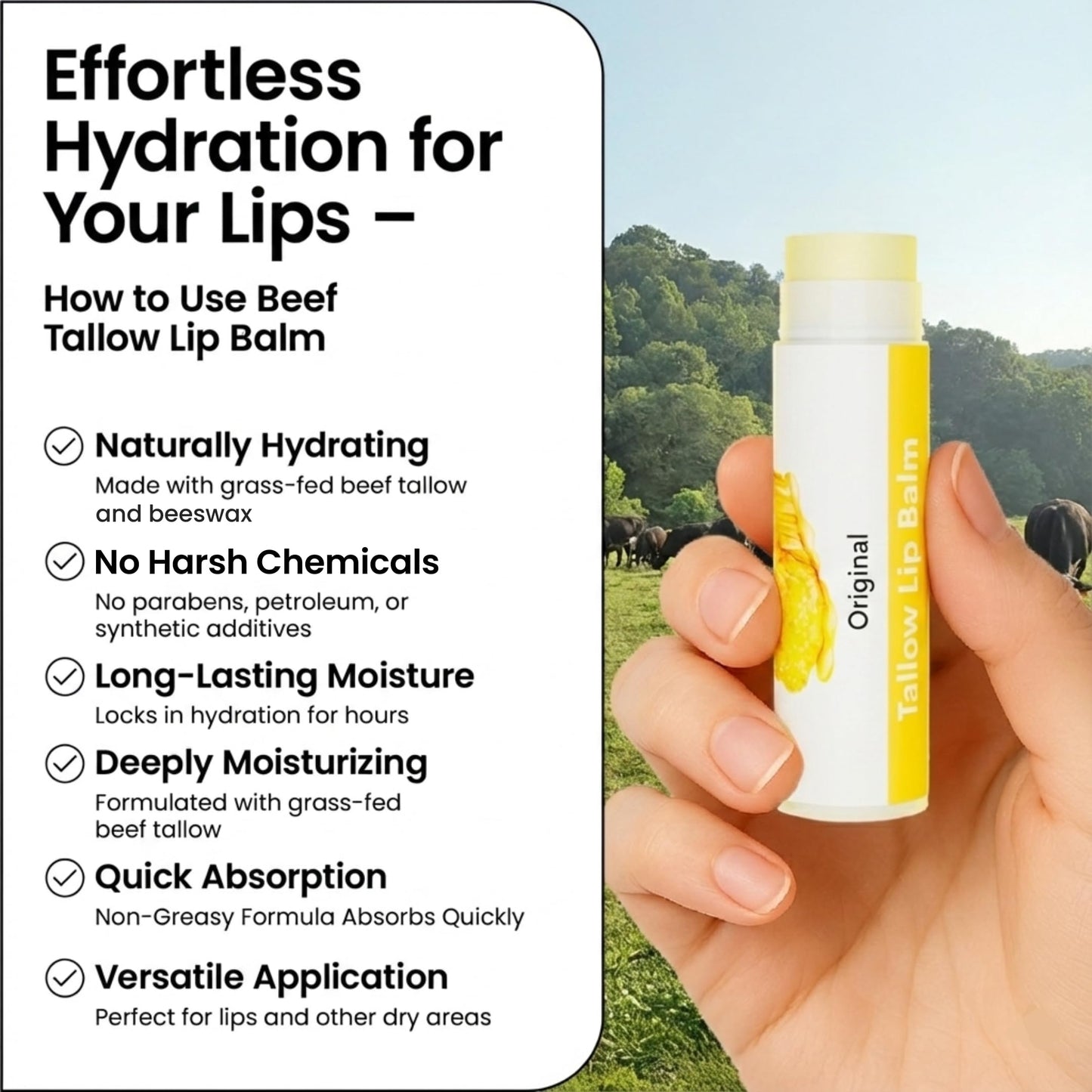 Tallow Lip Balm by Cattle Creek – All-Natural Ingredients, Long-Lasting Moisture and Hydration for Dry, Cracked, and Chapped Lips, Soothing Formula for Soft Skin (Pack of 3, Original)