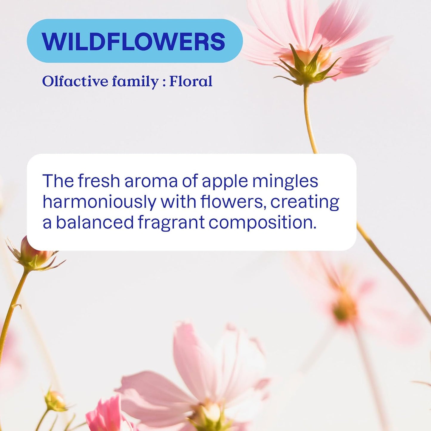 ATTITUDE Liquid Fabric Softener - Plant-Based & Vegan, Wildflowers Scent | 33.8 Fl Oz, 40 Loads