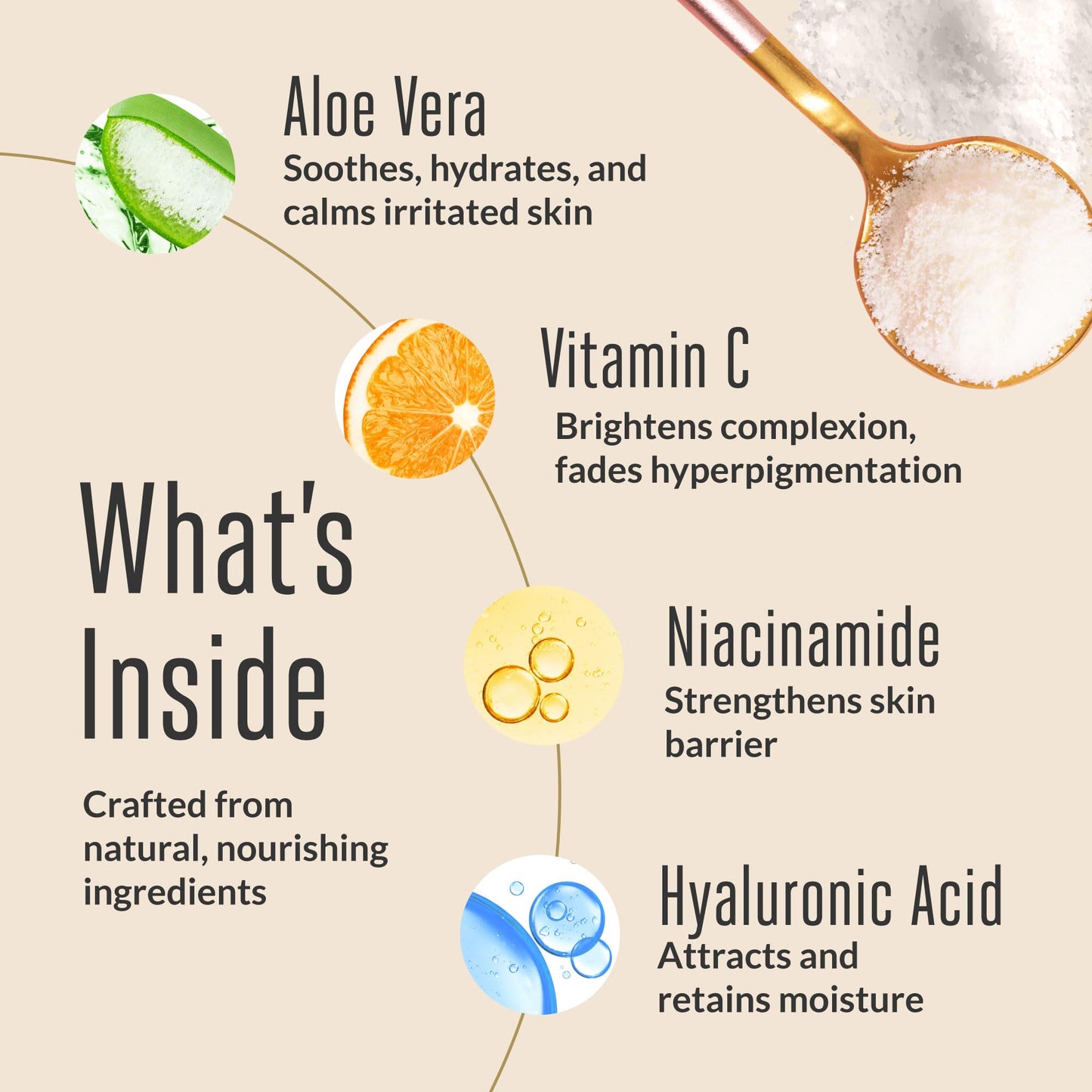 acorn+oak Vitamin C Face Serum - Natural Anti-Aging Serum with 10% Vitamin C, Aloe, Niacinamide, & Hyaluronic Acid, Soothing Skin Care, Firms & Evens Skin Tone, Dark Spot Remover for Face (1 fl oz)