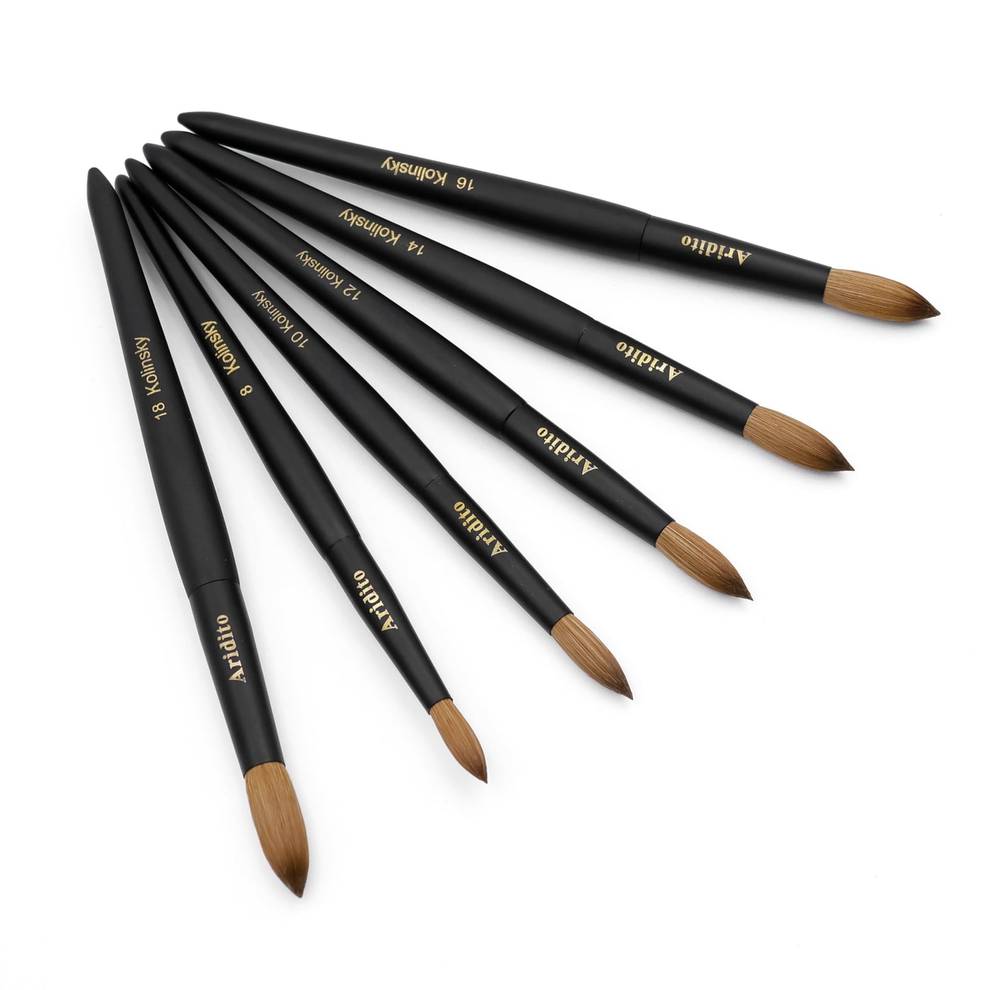Aridito Kolinsky Round Head Acrylic Nail Art Brush Set, Black Wooden Handle Size 8 10 12 14 16 18, for Professional Manicure DIY Home Salon (16# Kolinsky)