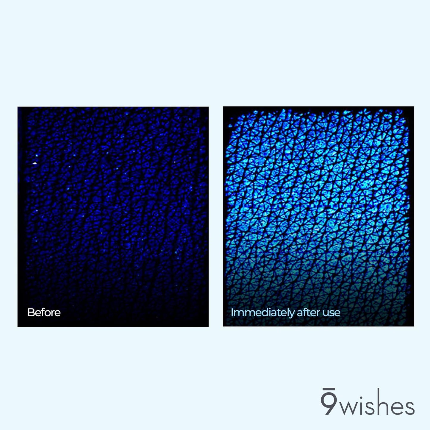 9 wishes Hydra Ampule Cream 1.7Fl. Oz, 50ml Powerful Hydration with Coconut Water - Long Lasting Hydration Facial Moisturizer