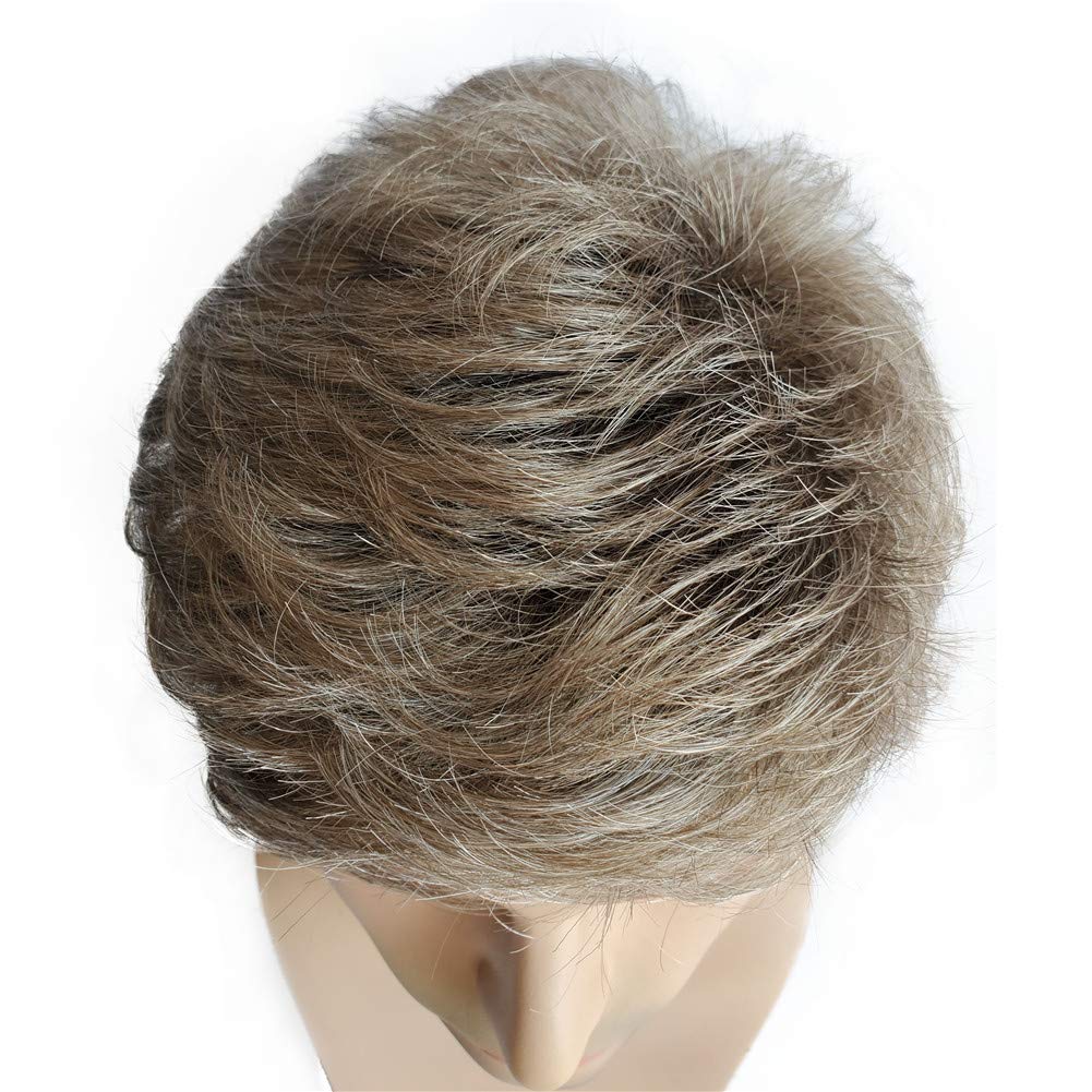 Aimole Mens Wigs Short Straight Hair Brown mix Sliver Natural Synthetic Full Wig