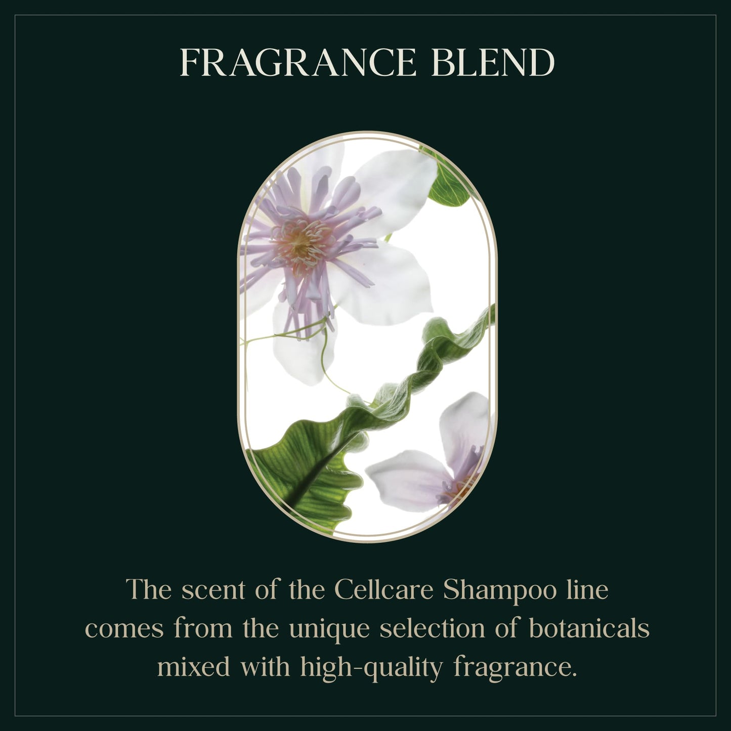 PUREBBLE Nourishing Botanic Cellcare Shampoo 500ml, 16.90 fl oz | Sulfate-Free, Paraben-Free and Color-Safe | pH Balancing