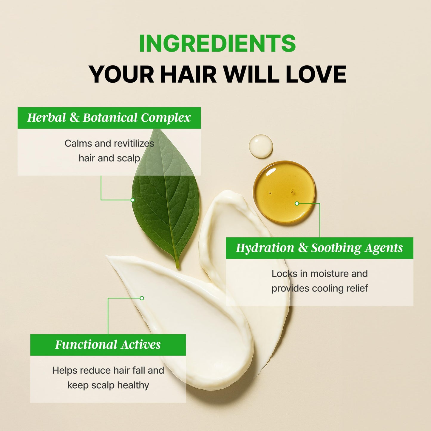 Premium TS Shampoo for Thinning Hair & Hair Loss Care(17.6 Fl Oz) | Best Korea Shampoo | LAVENDER Scent with Essential Oil & Biotin & Natural Ingredients | Men & Women