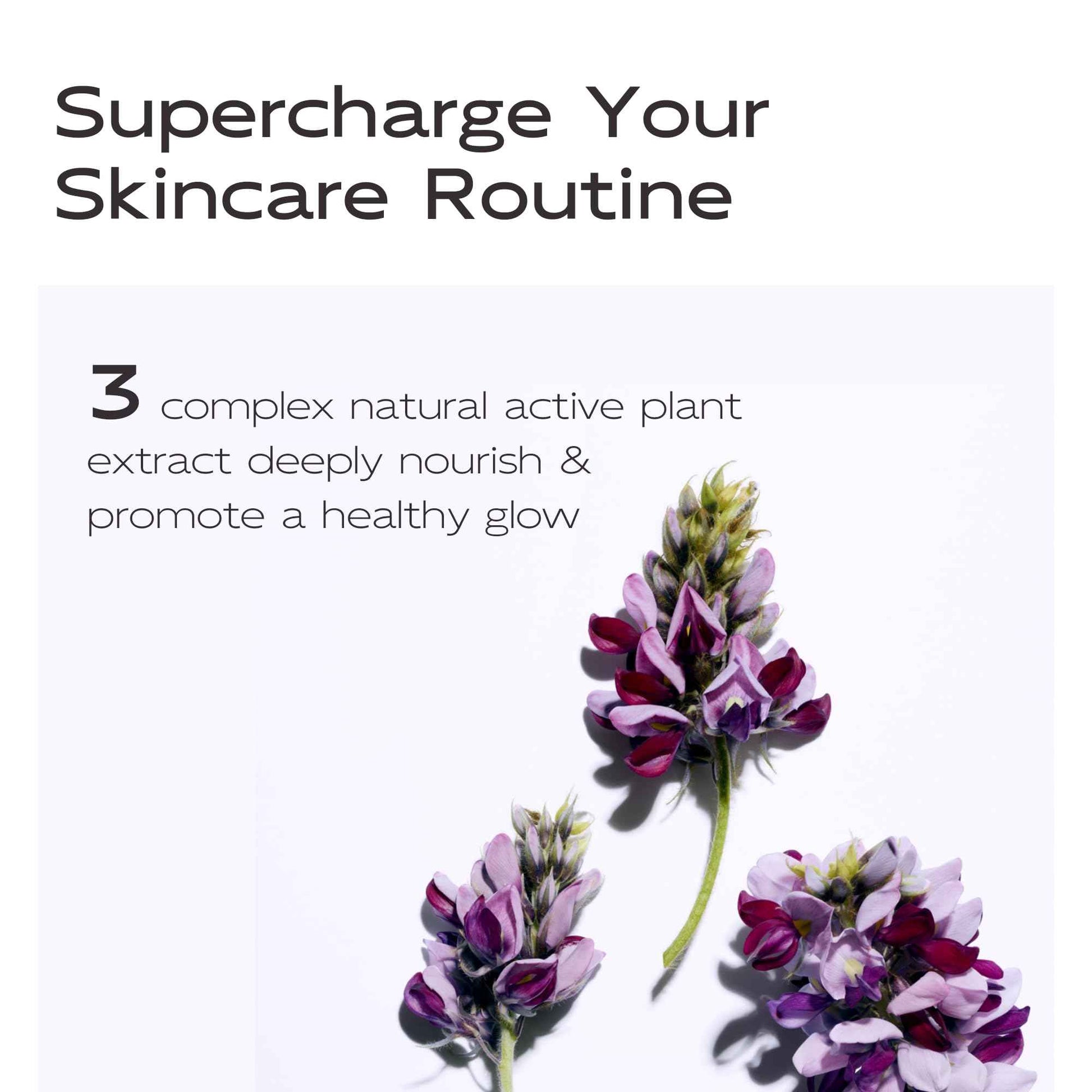 2 PCS JING MENG LAVANDULA ESSENTIAL OIL, REDUCE THE LOOK OF SPOTS, BOOST RADIANCE, Nourish, Push as silky smooth, Soothe, Chamomile, jojoba seed SKIN CARE FOR WOMEN,Mommy,s Gift