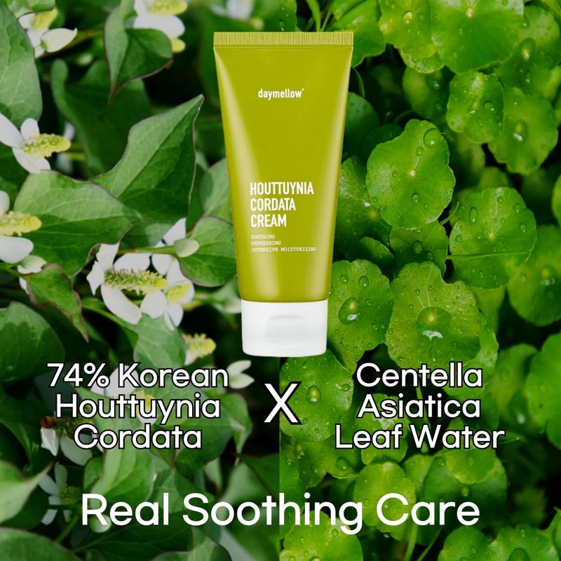 daymellow Houttuynia Cordata Real Soothing Cream 2.82fl.oz/80ml, Face Moisturizer, Heartleaf, Centella, Panthenol, Skin Barrier Repair, Acne, Soothes Redness Facial Cream Korean Skincare