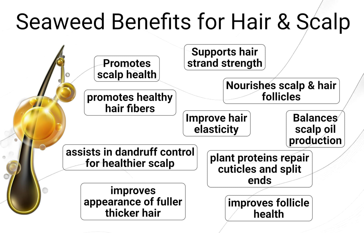 Saltie Hydrating Shampoo - Deep Moisture - Repairs and Bonds Dry Damage - Adds Shine - Reduces Frizz -No Sulfates, Parabens, Gluten, and Phthalates - No Artificial Color