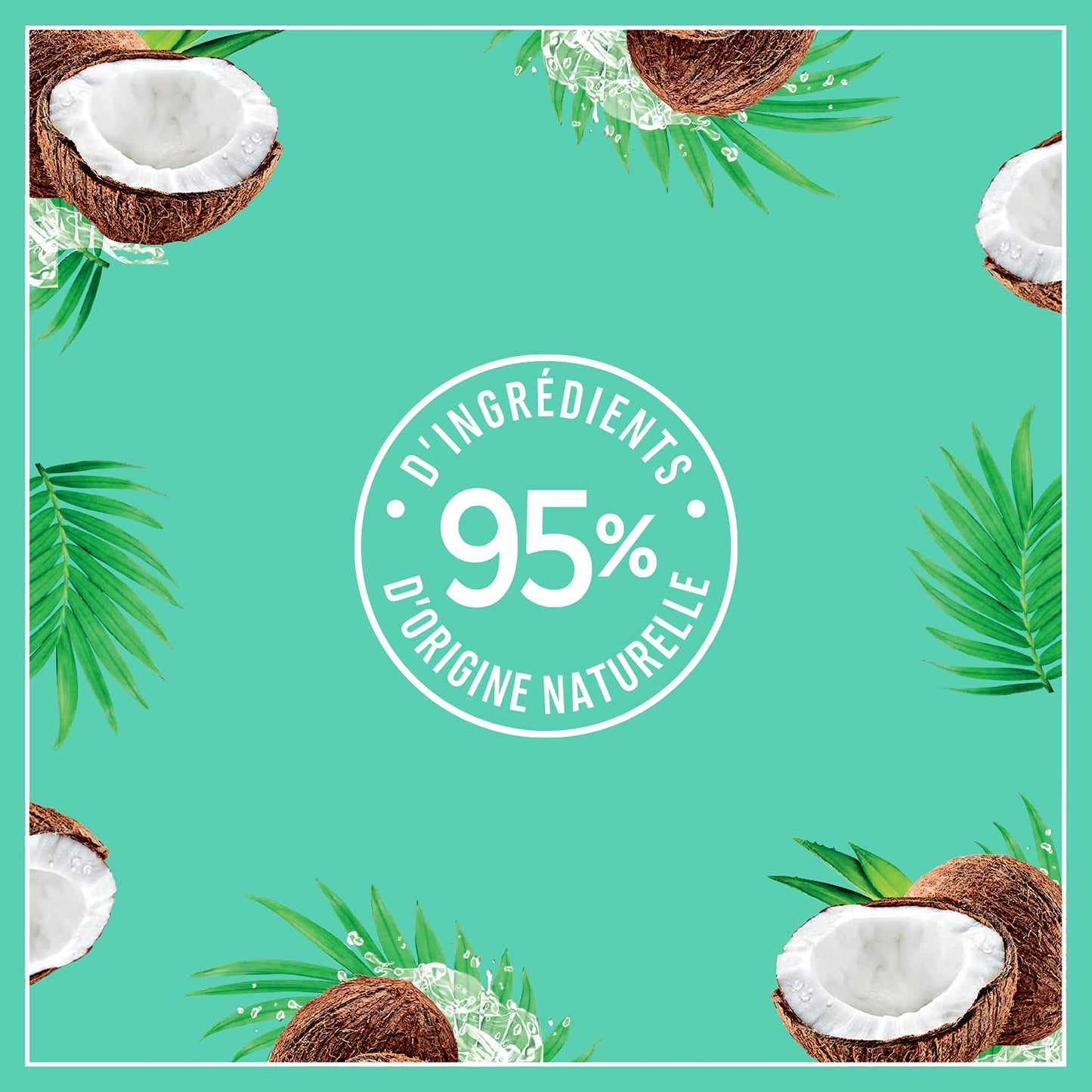Coconut Body Milk - 48H Moisturizing & Soothing Body Lotion | 250ml