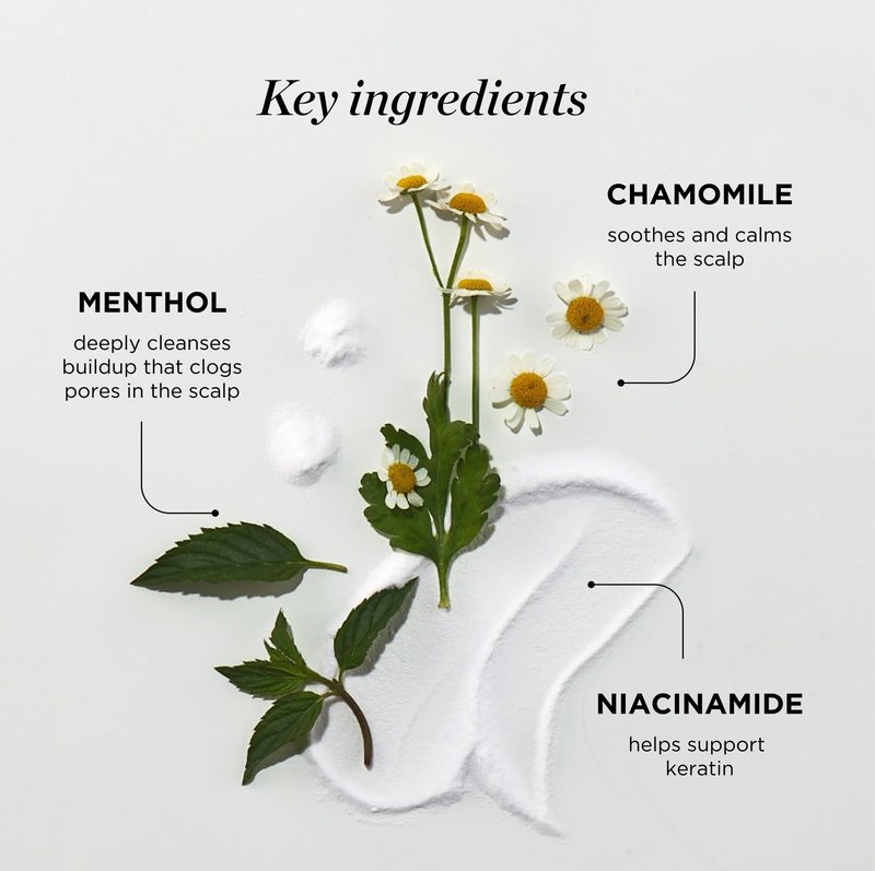 Dr. Groot Scalp Relief Tonic, Korean Hair Care with Chamomile, Niacinamide, Menthol, Rosemary Oil, Moisturizing Biotin Spray, Antioxidant Formula, for Dry Scalp, Kbeauty Scalp Revitalizing Solution