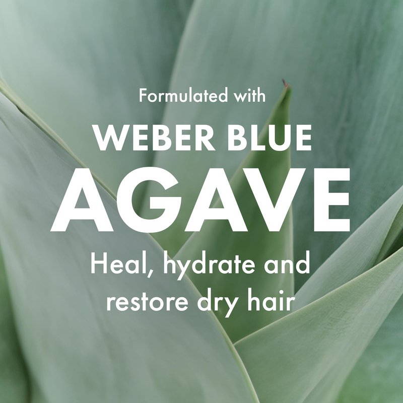 Agave Natural Bamboo Paddle Brush Lightweight Detangling & Smoothing Hair Brush