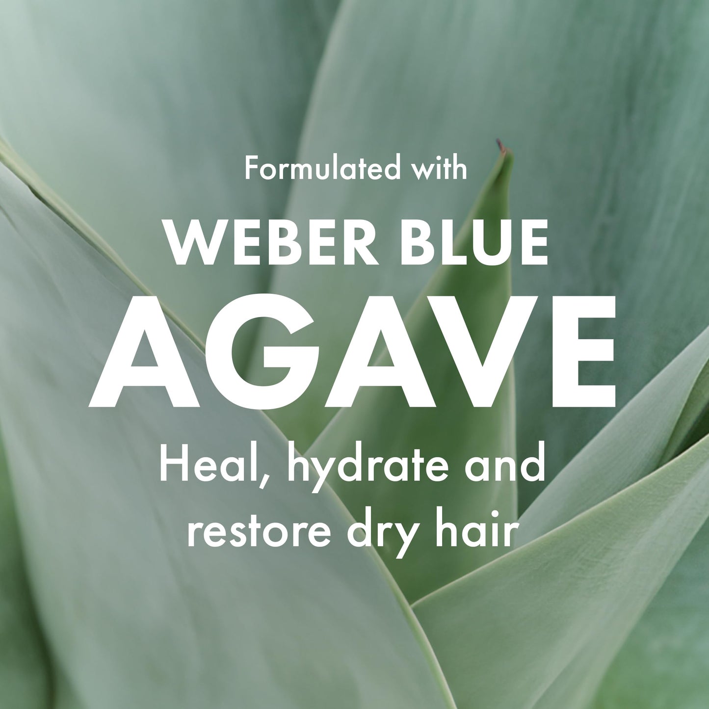Agave Healing Oil Treatment Hydrating & Smoothing Hair Oil for Frizz Control & Shine 3.75 fl oz