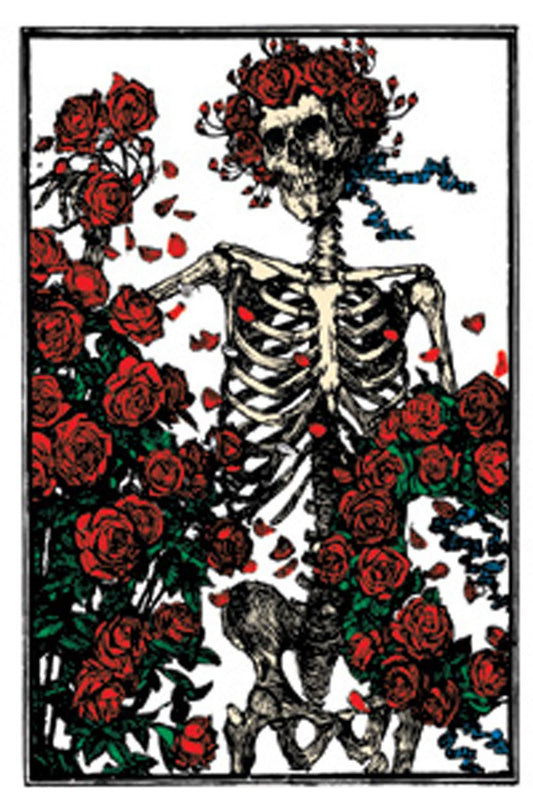 Licenses Products Grateful Dead Skeleton and Roses Magnet