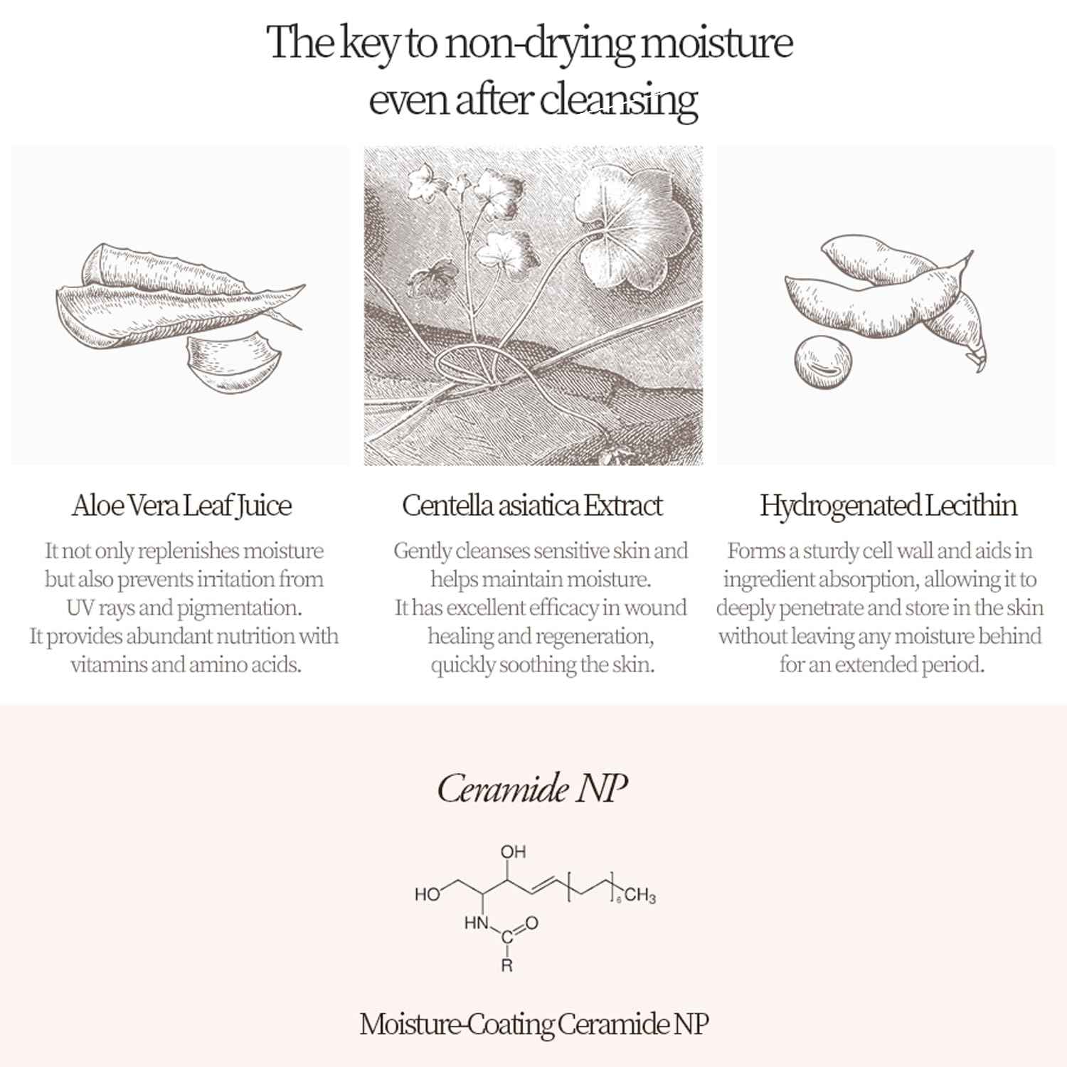 Bueno+ Pure Moonlight Rose Floral Cleanser | Anti-Aging Gentle Face Wash with Rose Petals for All Skin | Exfoliating and Moisturizing | Vegan Gel Rich in Antioxidantsl 2.7, Fl Oz