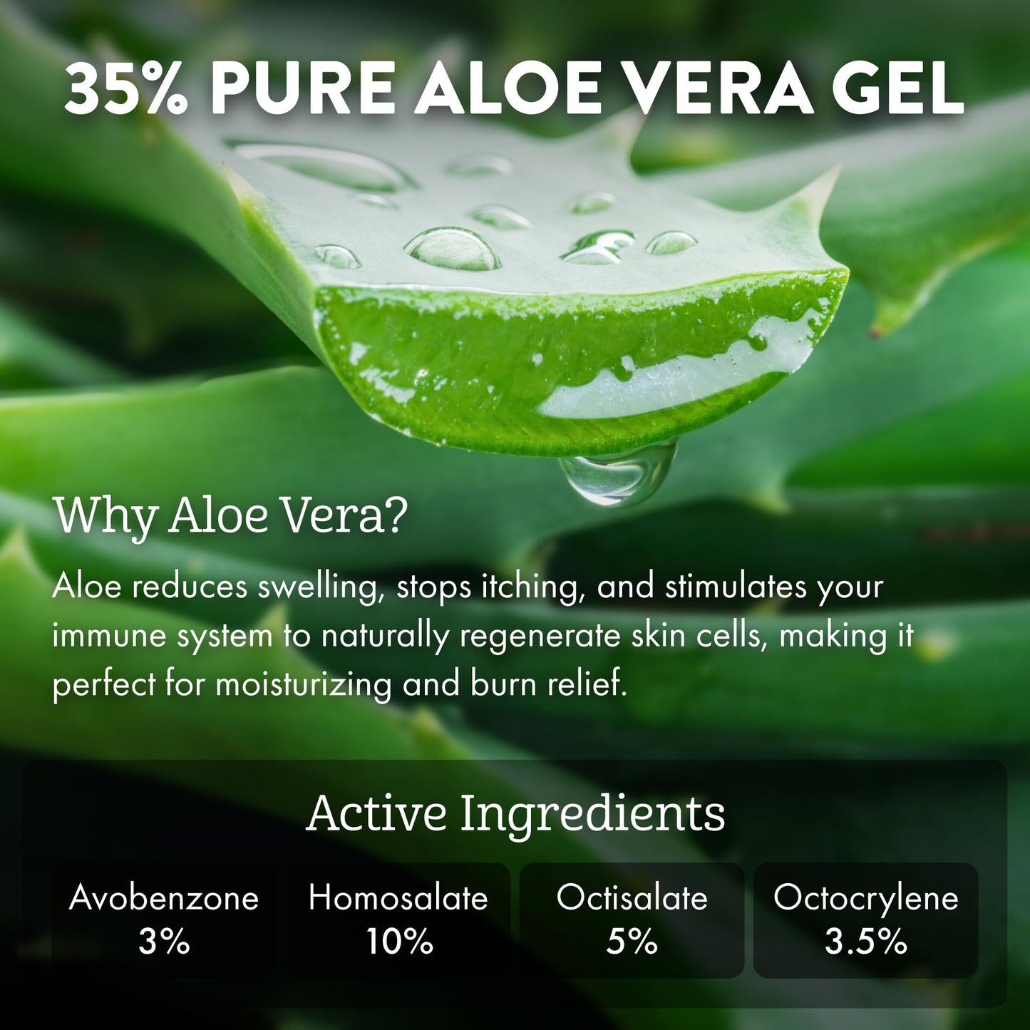 Aloe Up Sport Sunscreen Body Lotion SPF 30 – Broad Spectrum Sunblock with Hydrating Aloe Vera Gel – Non Greasy, No White Cast, Reef Friendly, Fragrance Free –