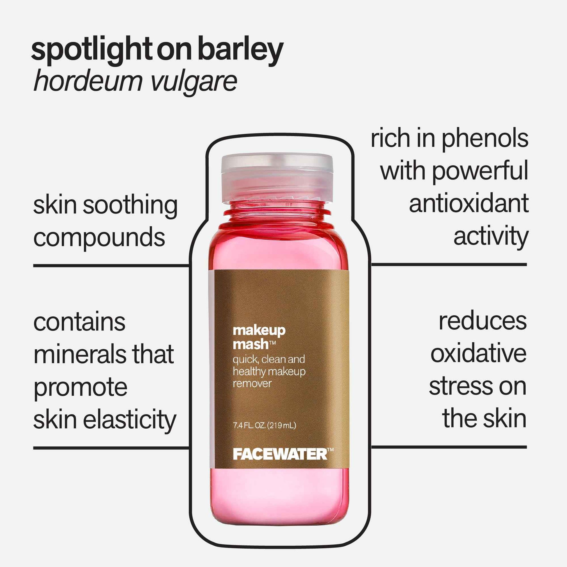 PLANT BEAUTY DISTILLERY Facewater Makeup Mash Quick Clean and Healthy Makeup Remover