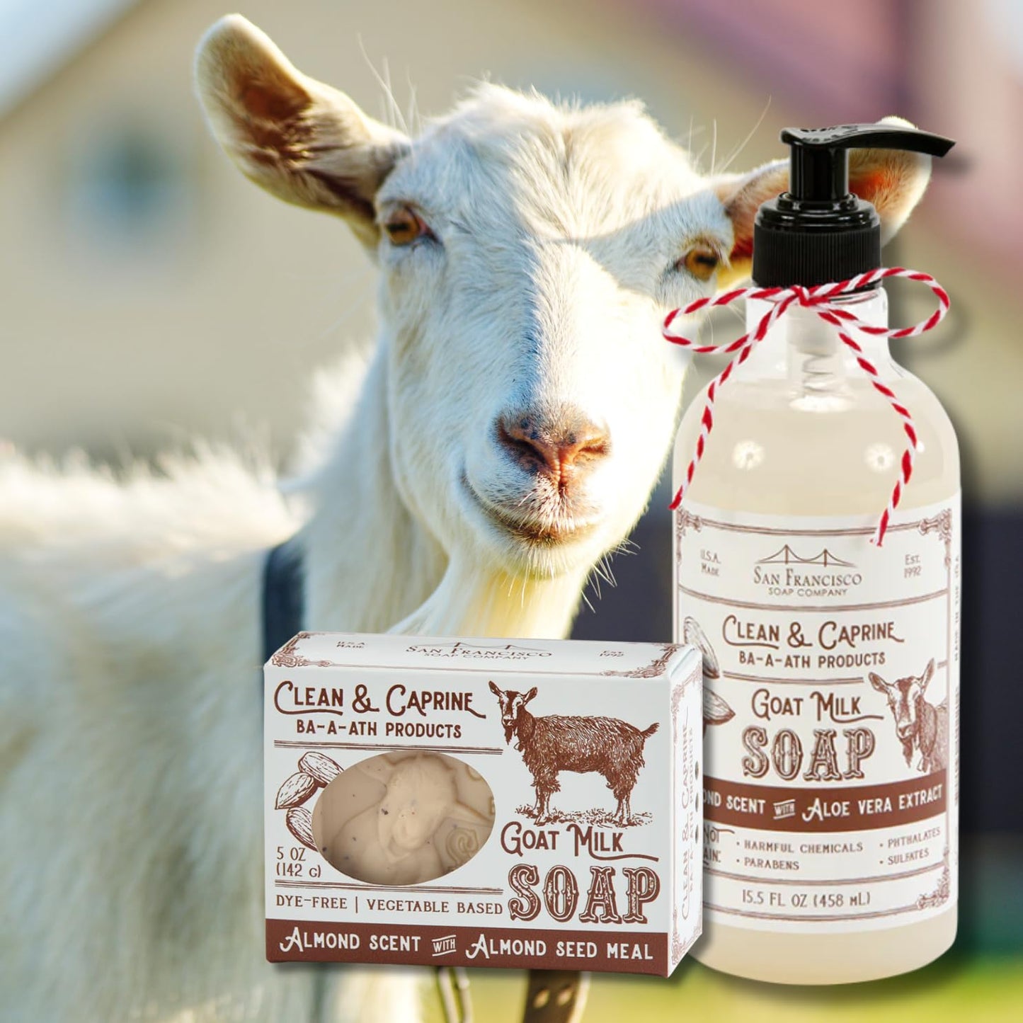 San Francisco Soap Company Clean & Caprine Goat Milk Hand Soap | Almond | Dye-Free Hand Soap | Enriched with Nourishing Goat Milk | Unisex Fragrance | 15.5 Fl oz