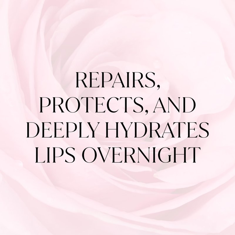 FEMMUE Lip Sleeping Mask (Rosy Petal) | Hydrating Balm to Soften Dry, Chapped Lips | Overnight Moisturizing Treatment With Vitamin E | Korean Beauty Skincare
