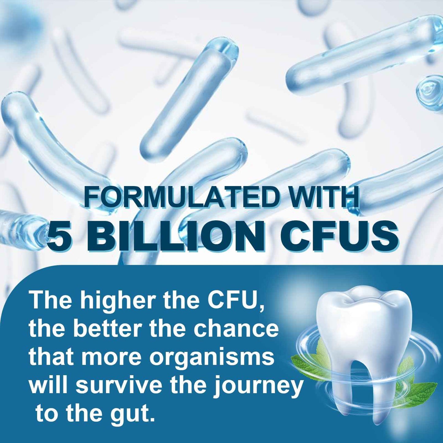 Oral Probiotics for Mouth Bad Breath Treatment for Adults(30 Count), Chewable Oral Care Probiotic, Dental Probiotics for Teeth,Gum Restore & Fresh Breath, Mint Tablets