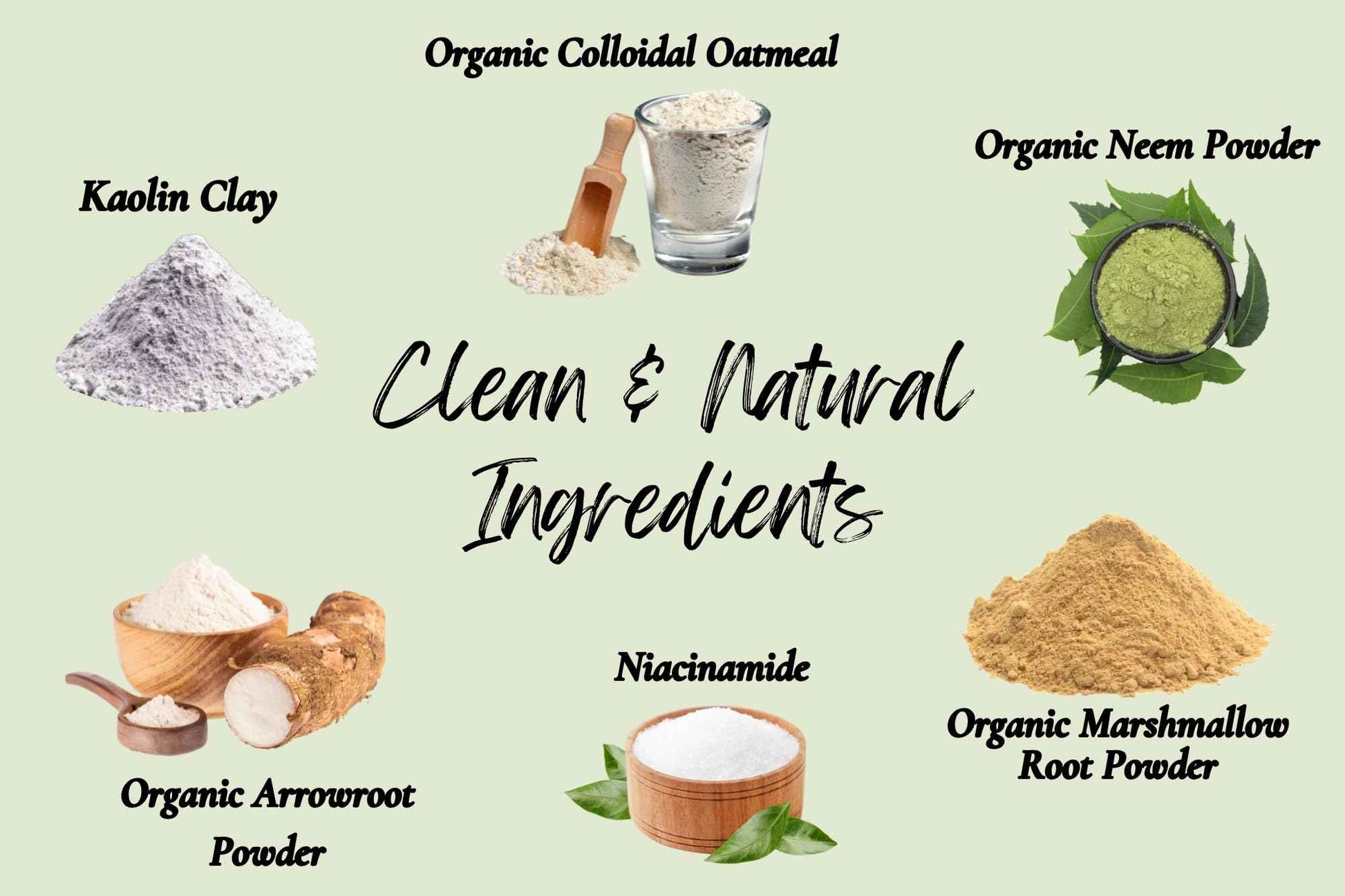 Goldcrest Naturals Natural Face Wash Powder–Waterless Cleanser for Acne-Prone, Oily, Sensitive Skin–Cruelty-Free, Plant-Based, Preservative-Free–Gently Exfoliates with Organic Neem & Niacinamide, 2oz