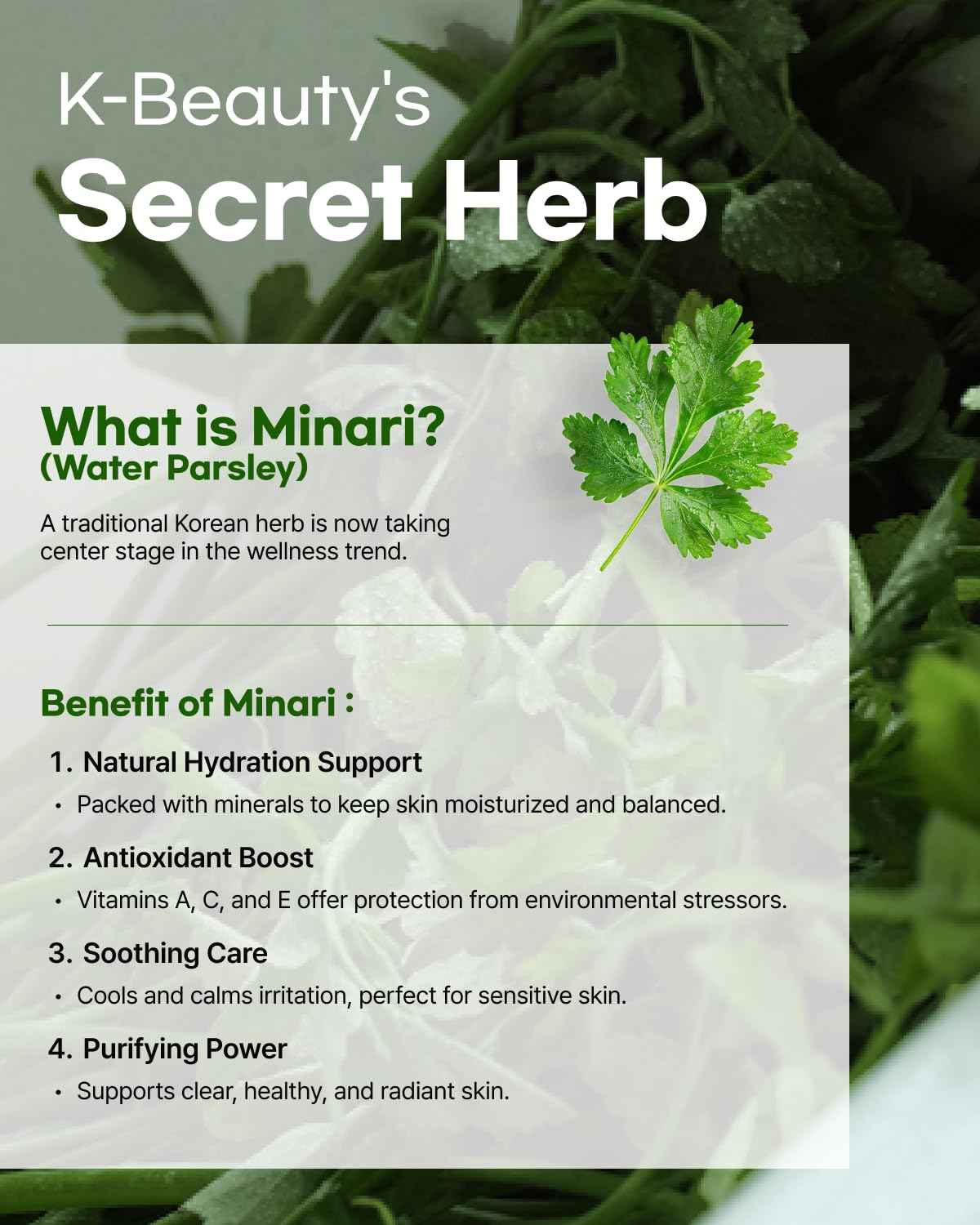 ClearDea Minari Calming Gel Serum for face – K-Beauty Hydrating & Soothing Face Serum with Korean Water Parsley, Green Tea, Mugwort & Lemon Balm Extracts, 30ml/1.01oz