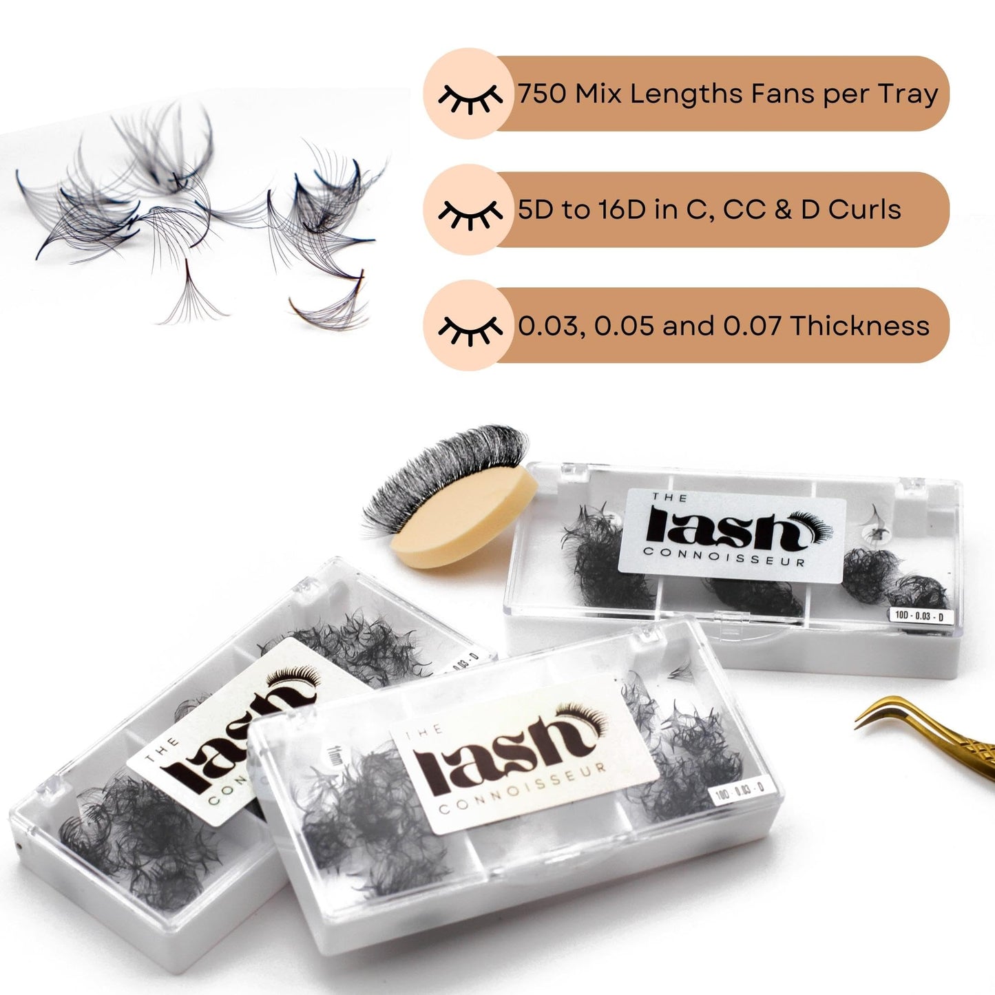 8D - D Curl 750 Fans Mixed Promade Fans Lash Extensions | TLC Lash Supplies 4D to 16D Premade Fans 7 mm to 16 mm Mixed Length Thin Base Premade Fans Eyelash Extensions (8D - D Curl, 14-15-16 mm)