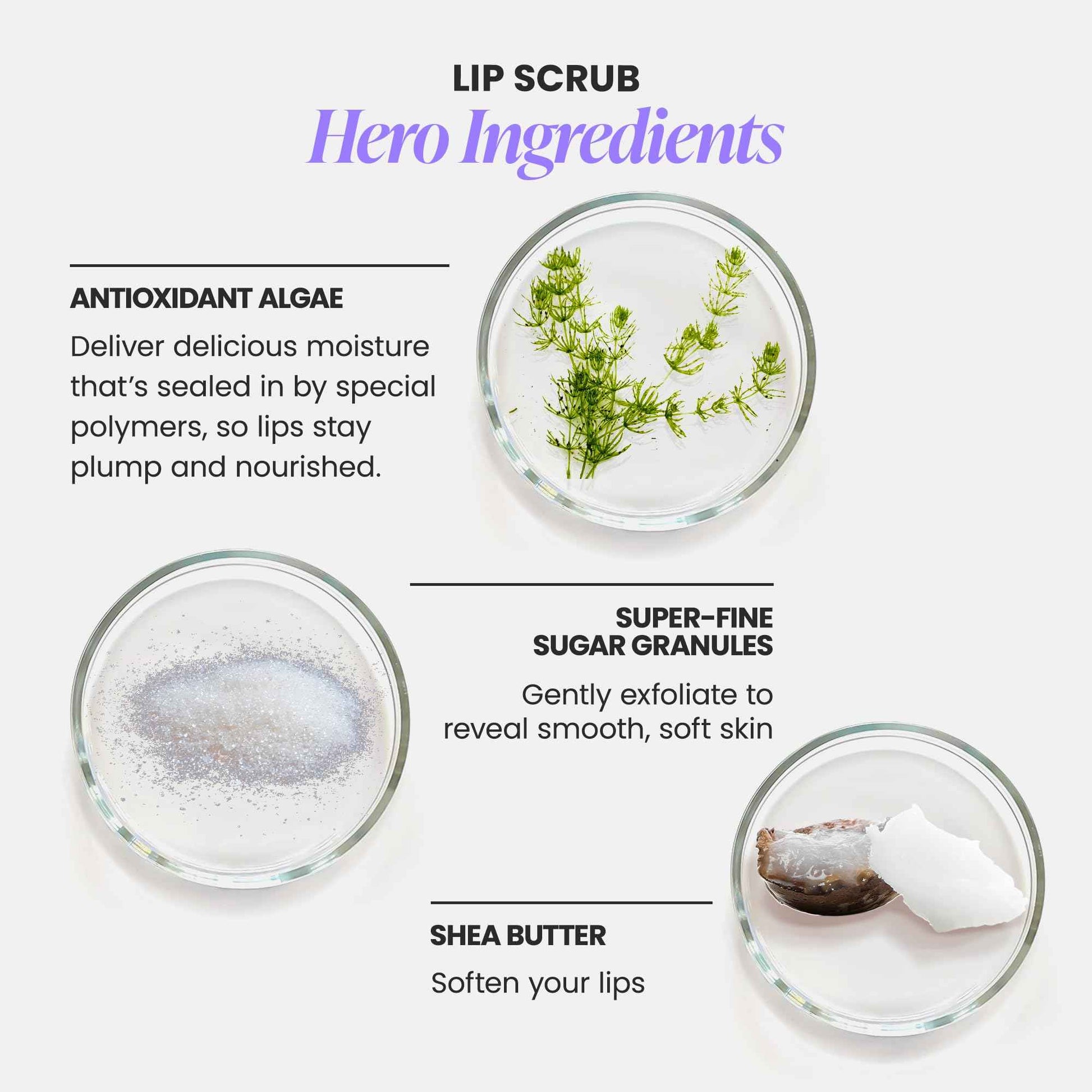 Wonderskin 3-in-1 Lip Scrub Exfoliator & Moisturizer, Lip Exfoliator Scrub, Hydrating Balm for Soft, Nourished, Flake-Free Lips with One-Step Prep, 0.10oz