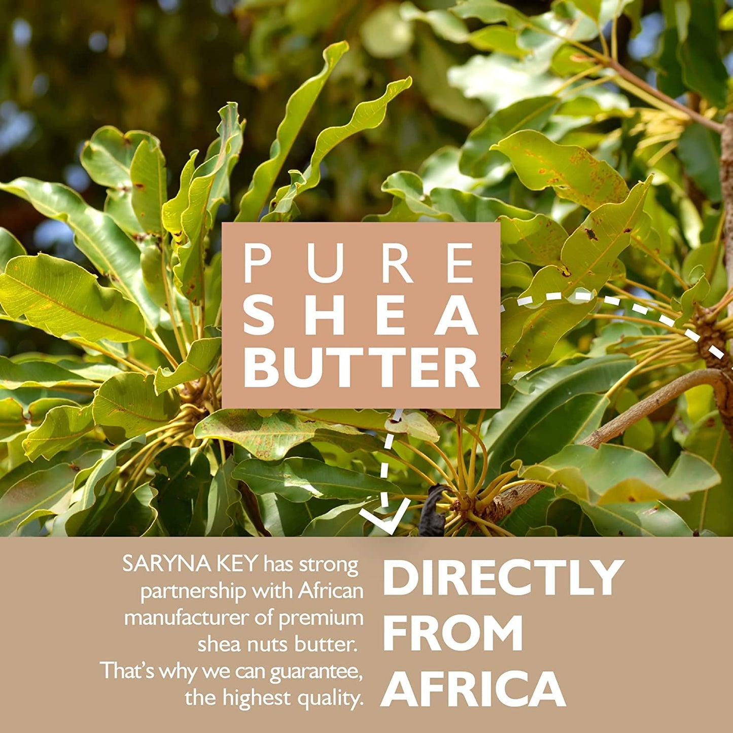 Saryna Key Light Damage Repair Treatment Butter Mask - African Shea Butter for Dry Hair Treatment - Rejuvenating Butter Moisturizer with Natural Keratin and Vitamins A, E, F(300ml/10.14oz)