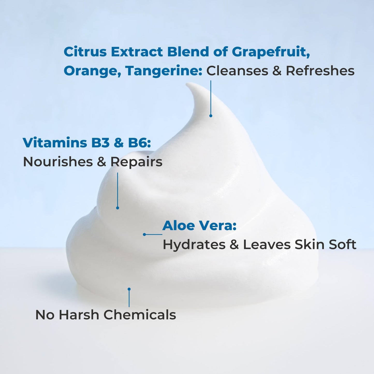 Nurture Rinse Free Waterless Foaming Cleanser for Women, Camping, Elderly & Hospital Care | No Rinse Body Wash with Aloe for Sensitive Dry Skin | Moisturizing & Gentle Cleanser